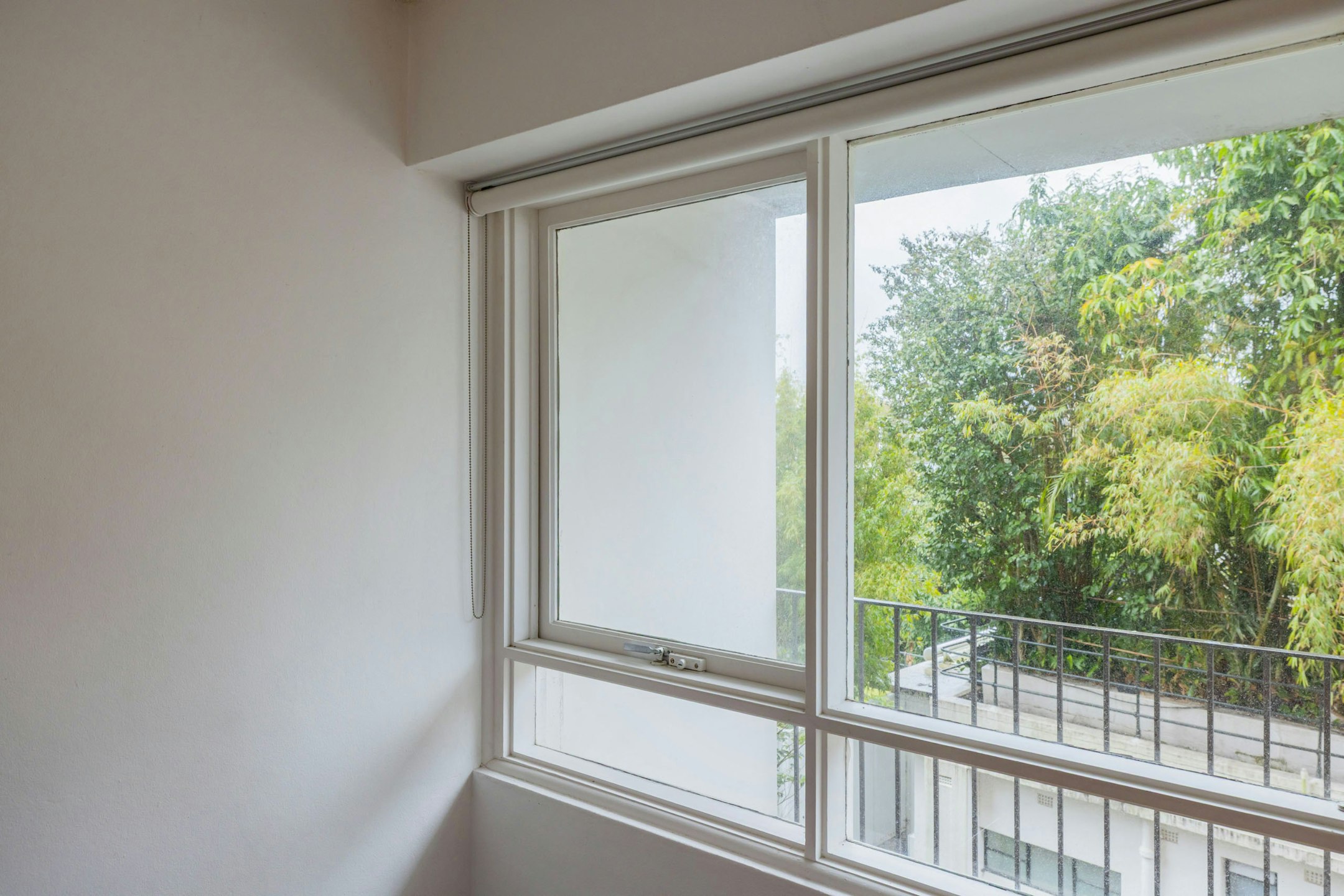 window