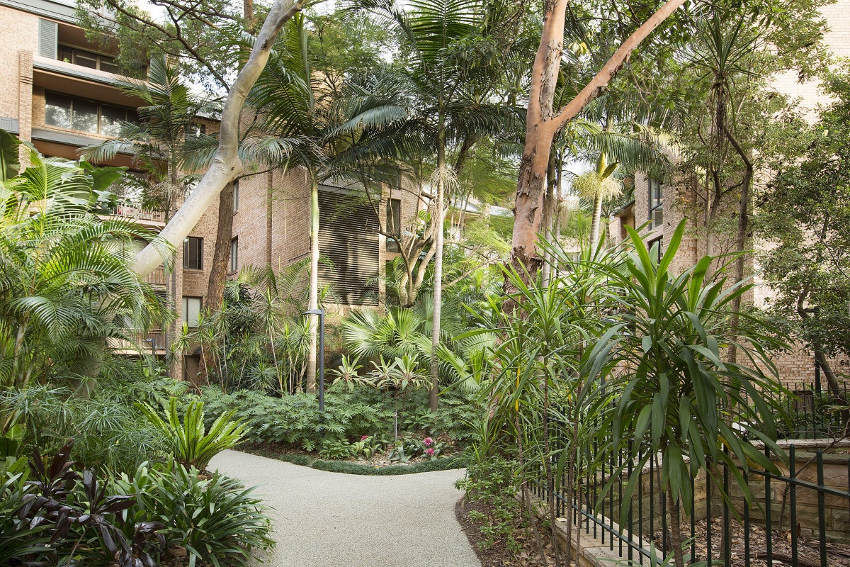 garden