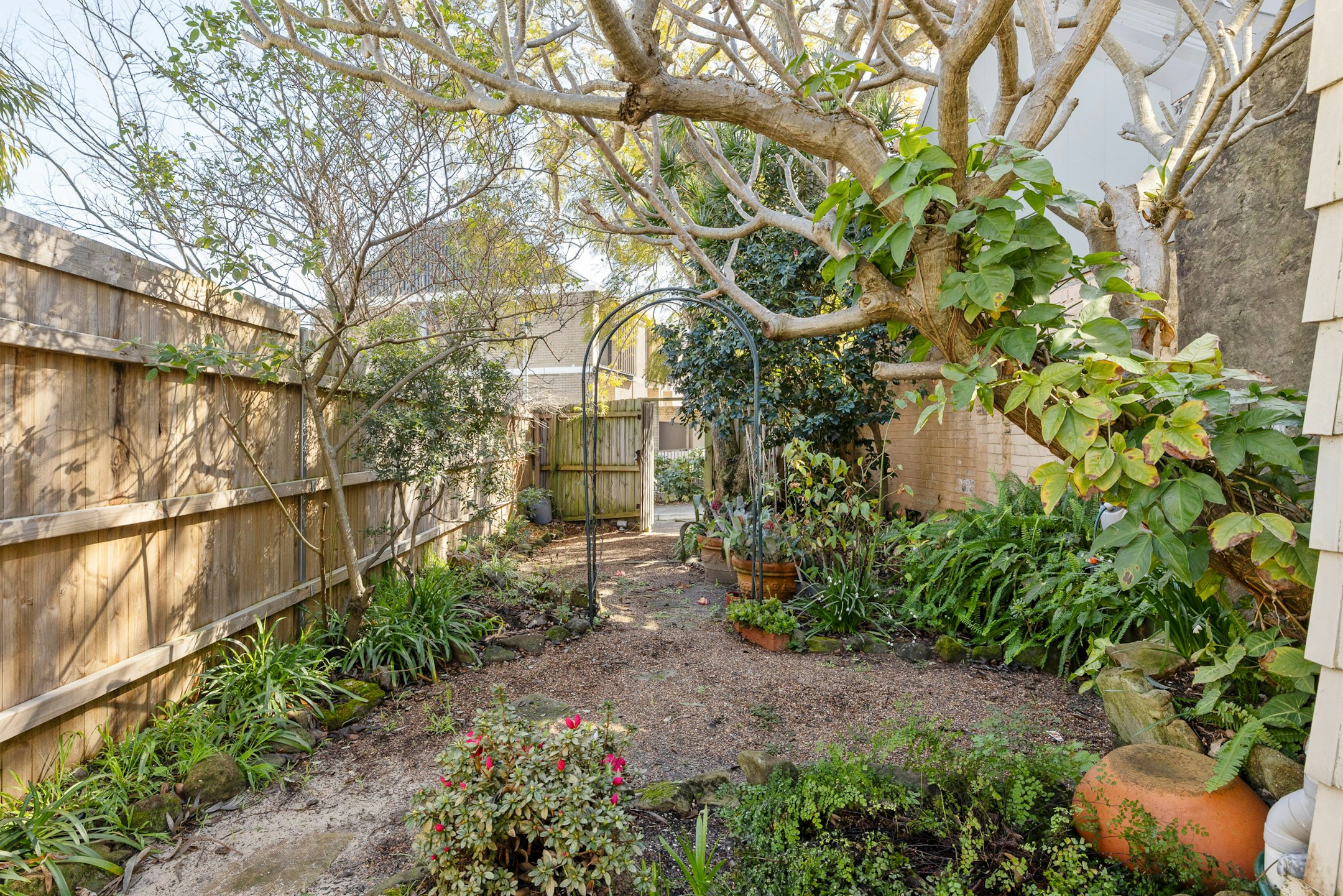 backyard