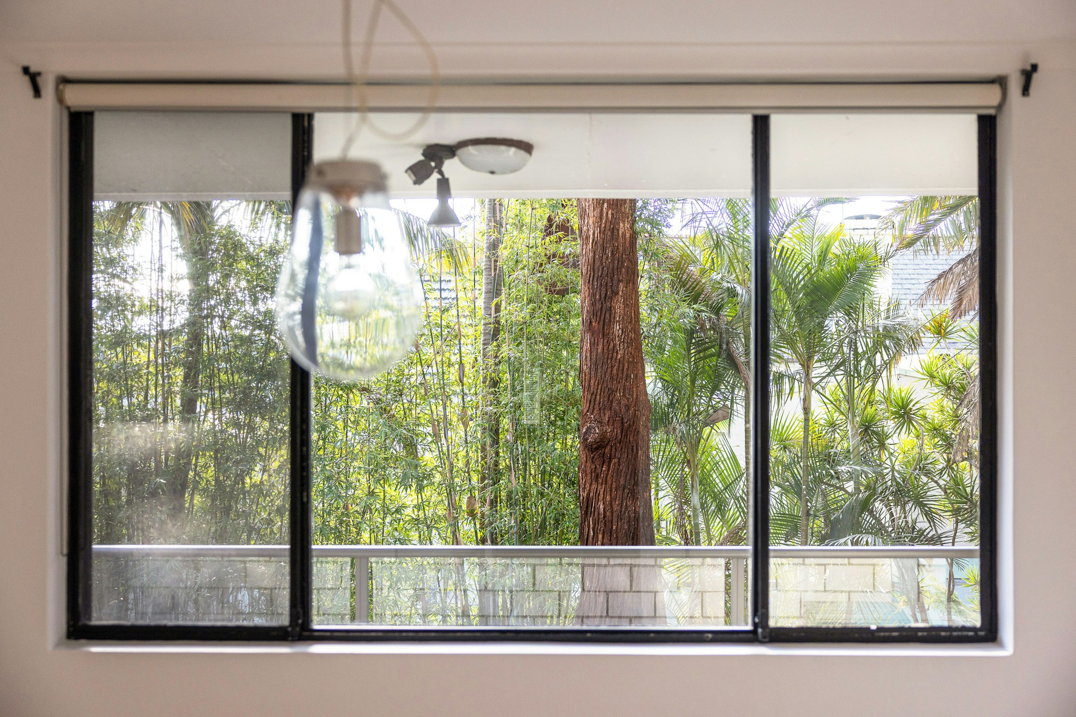 window