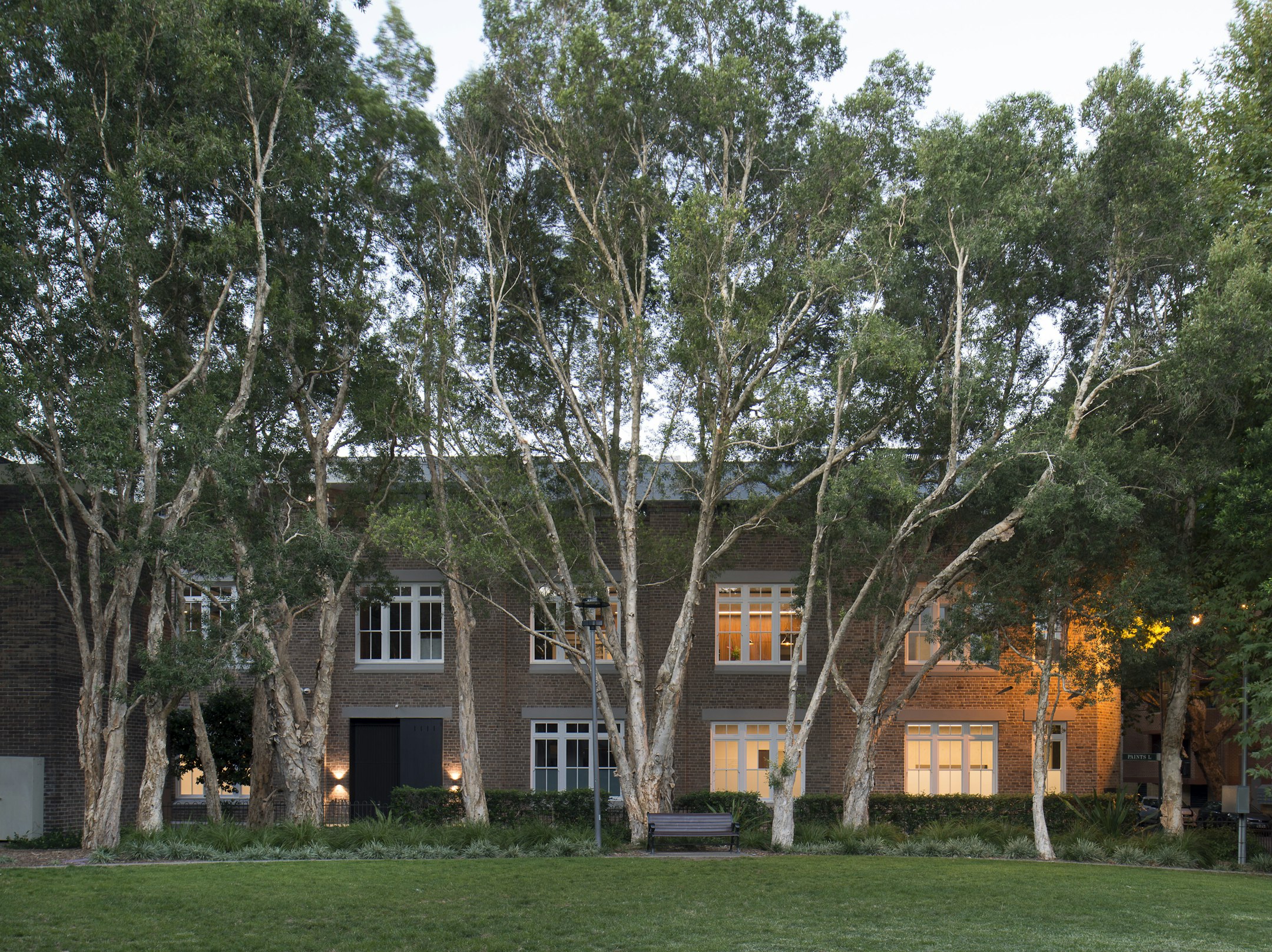 tree