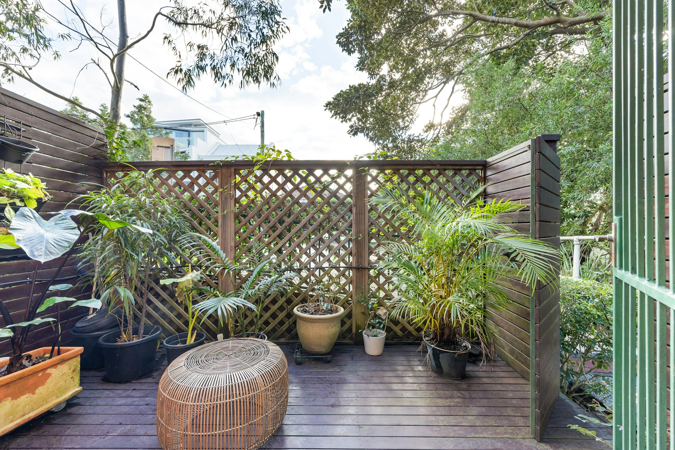 garden