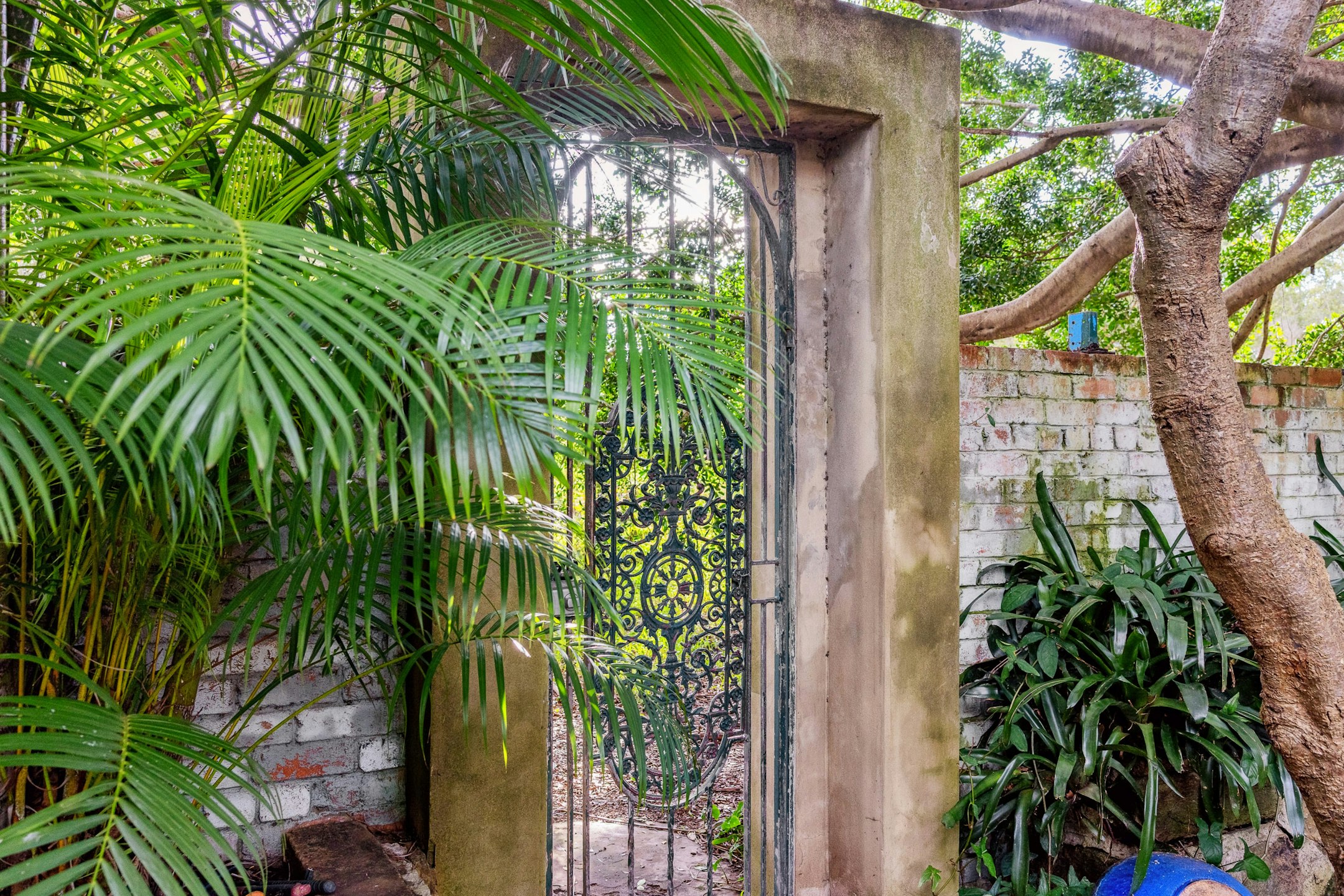 garden