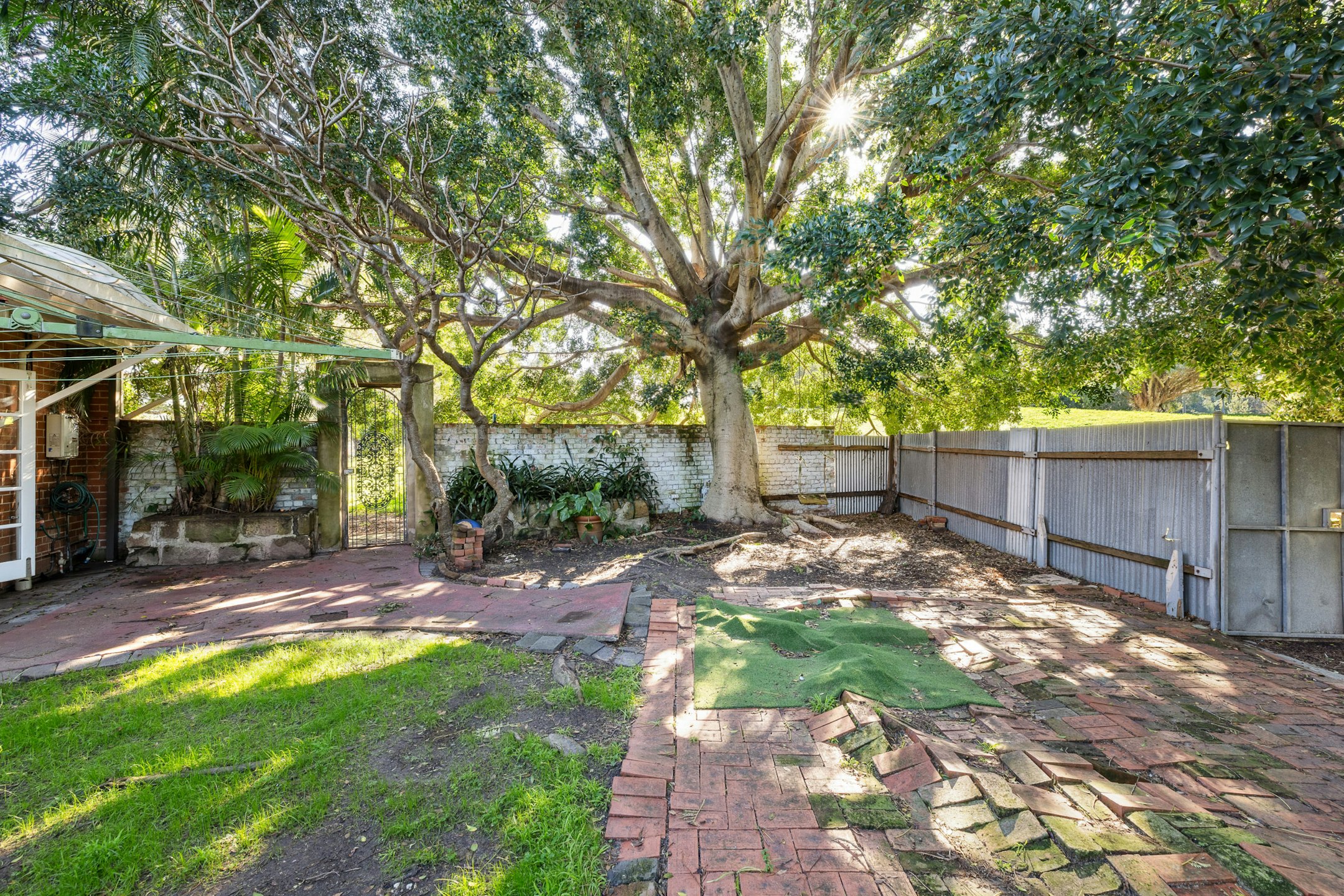 backyard