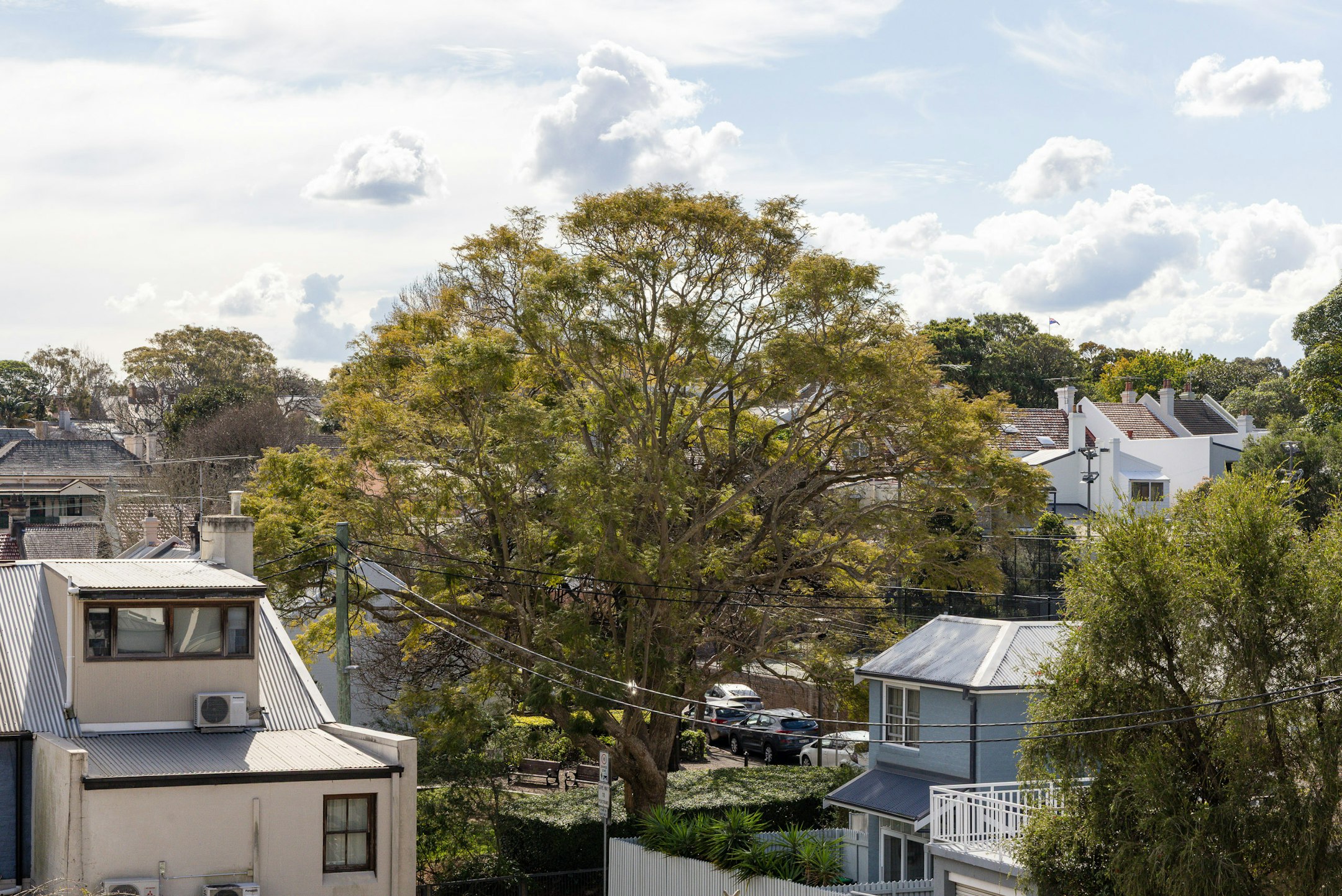 neighborhood