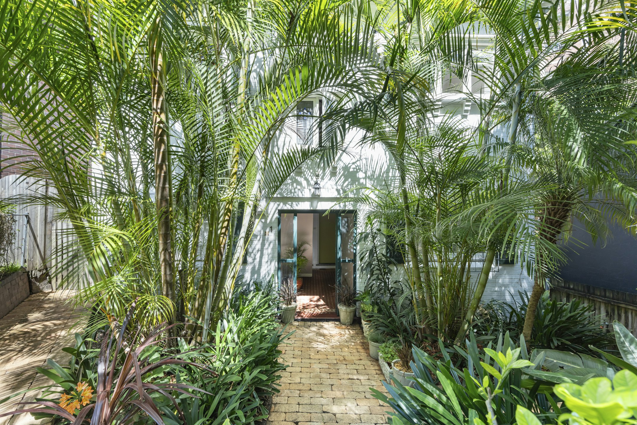 garden