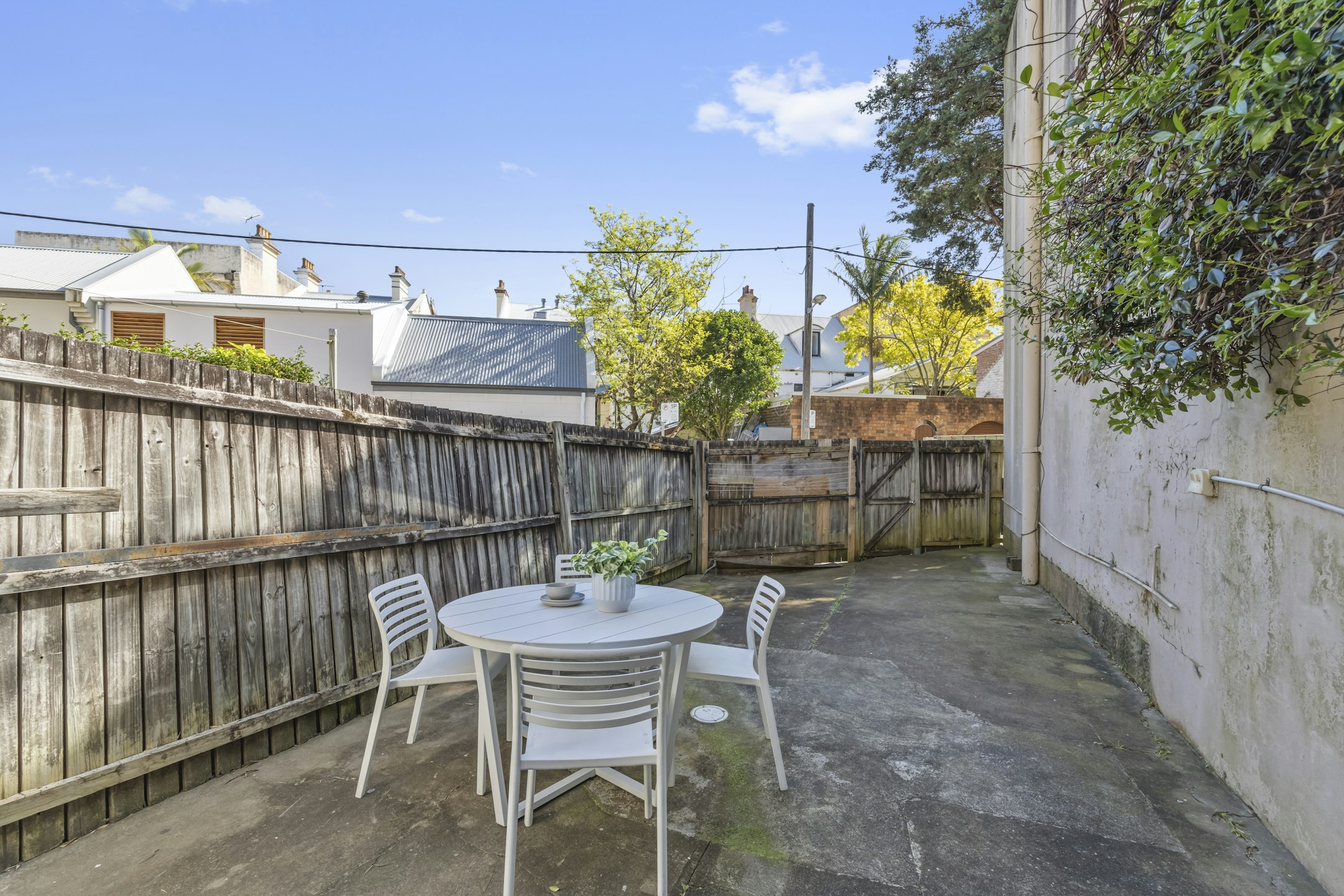 backyard