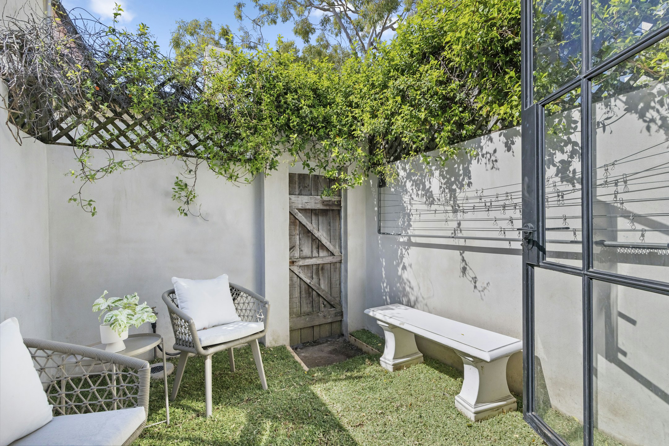 backyard