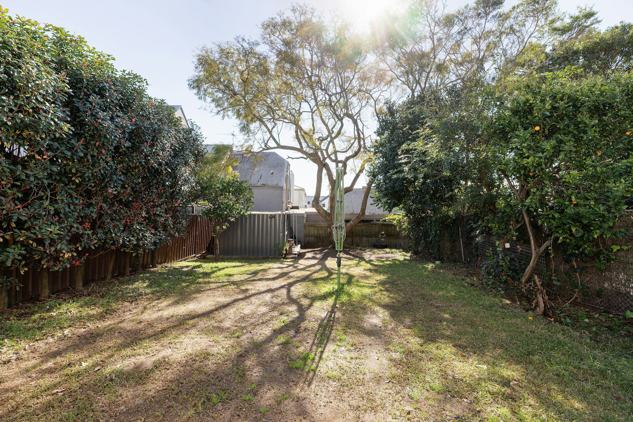 backyard