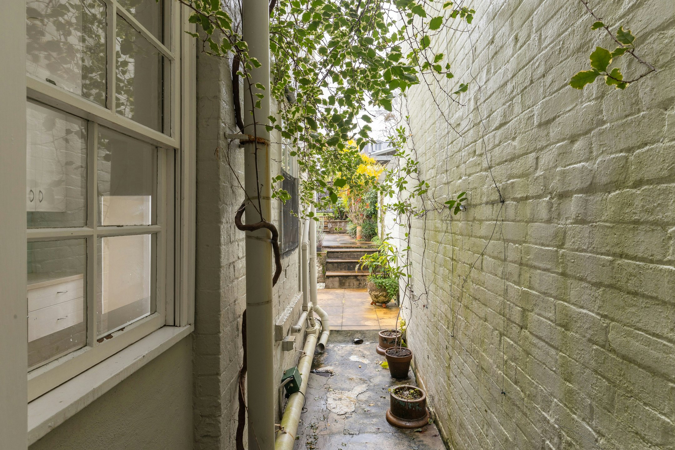 alley