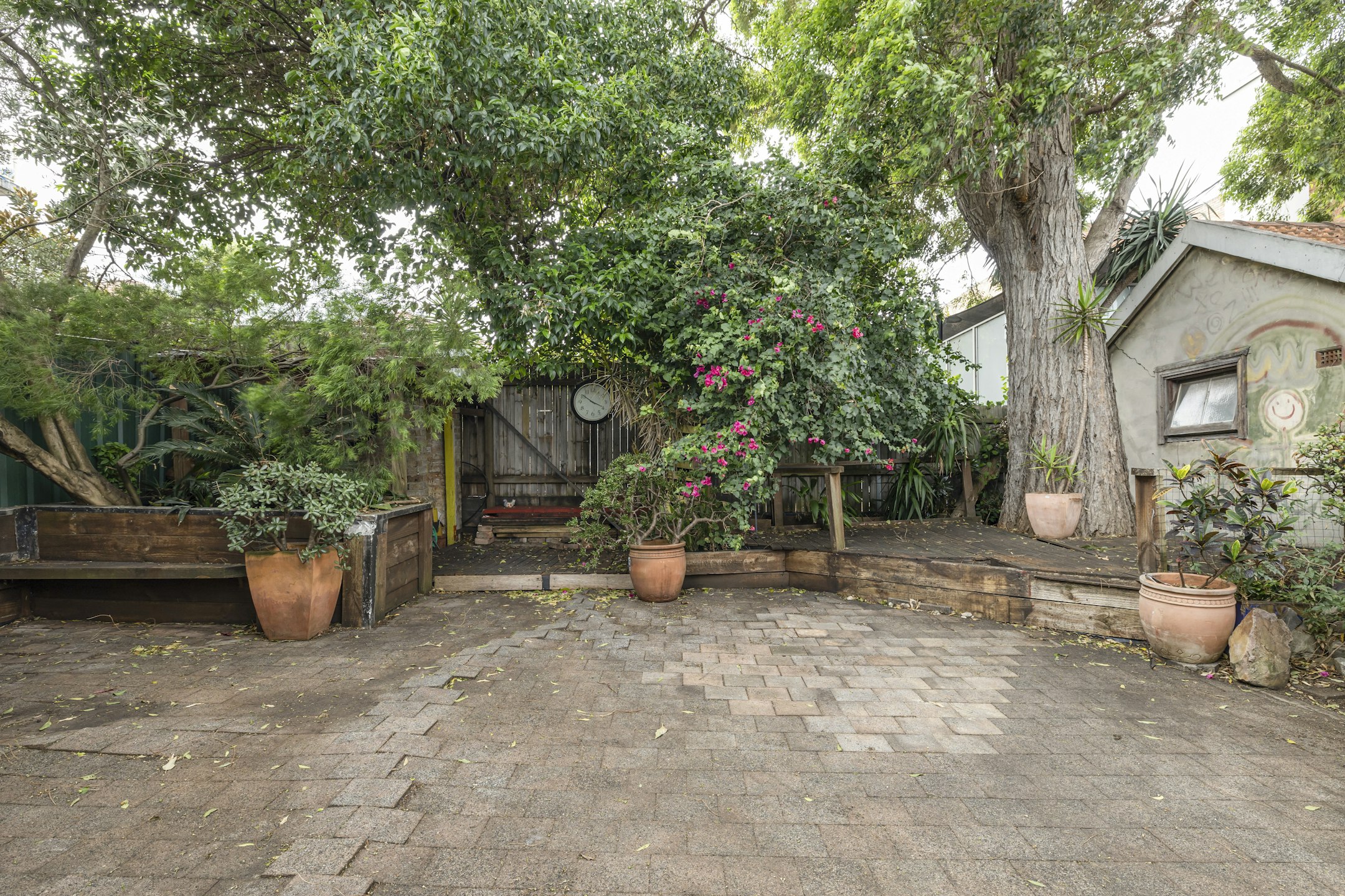 backyard
