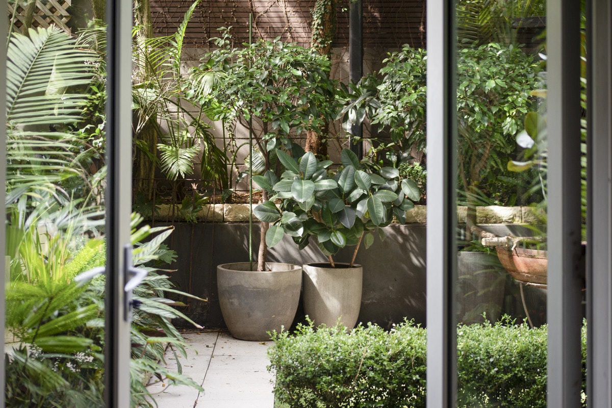garden