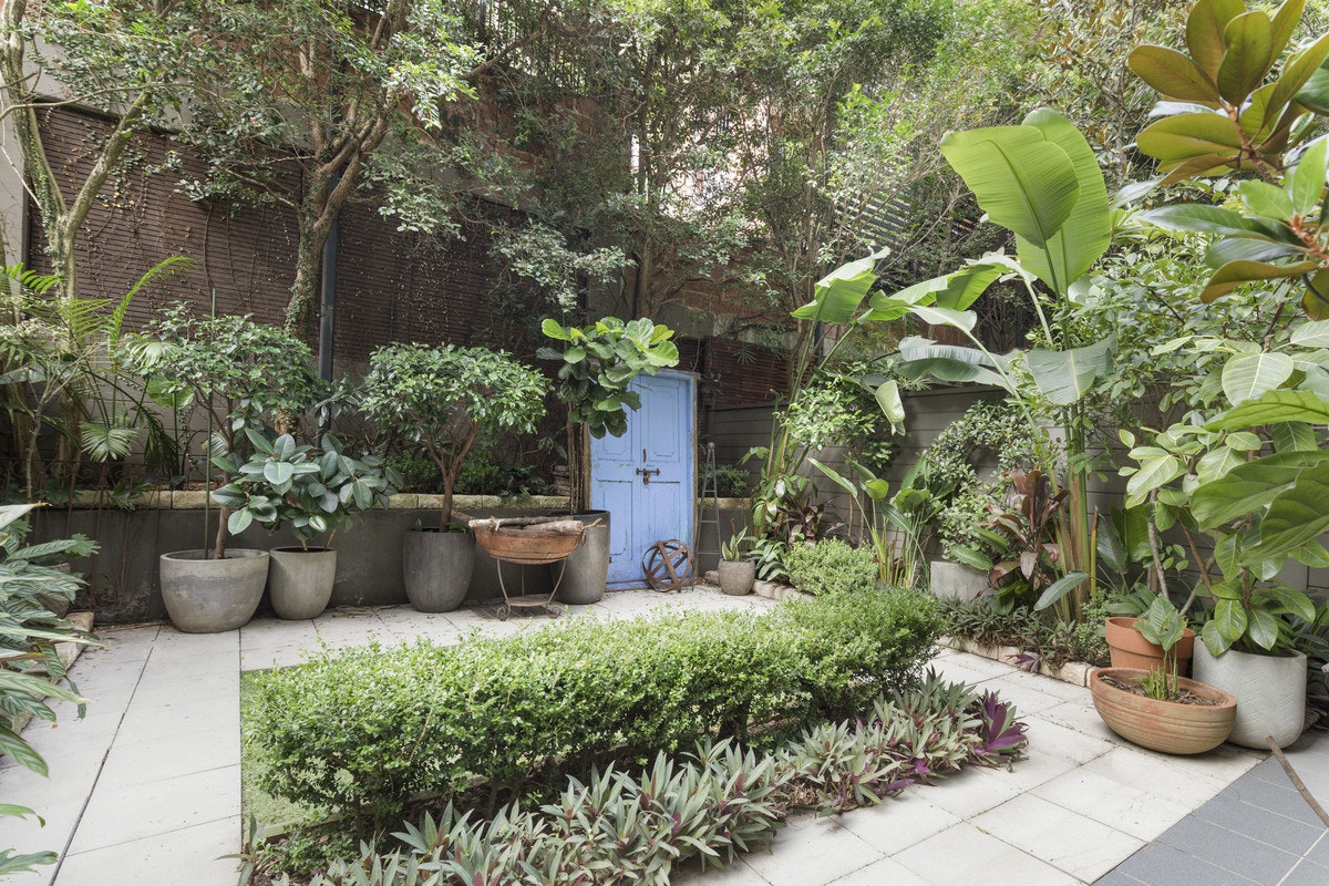 garden