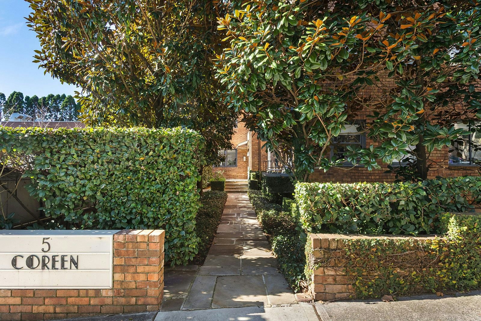 hedge