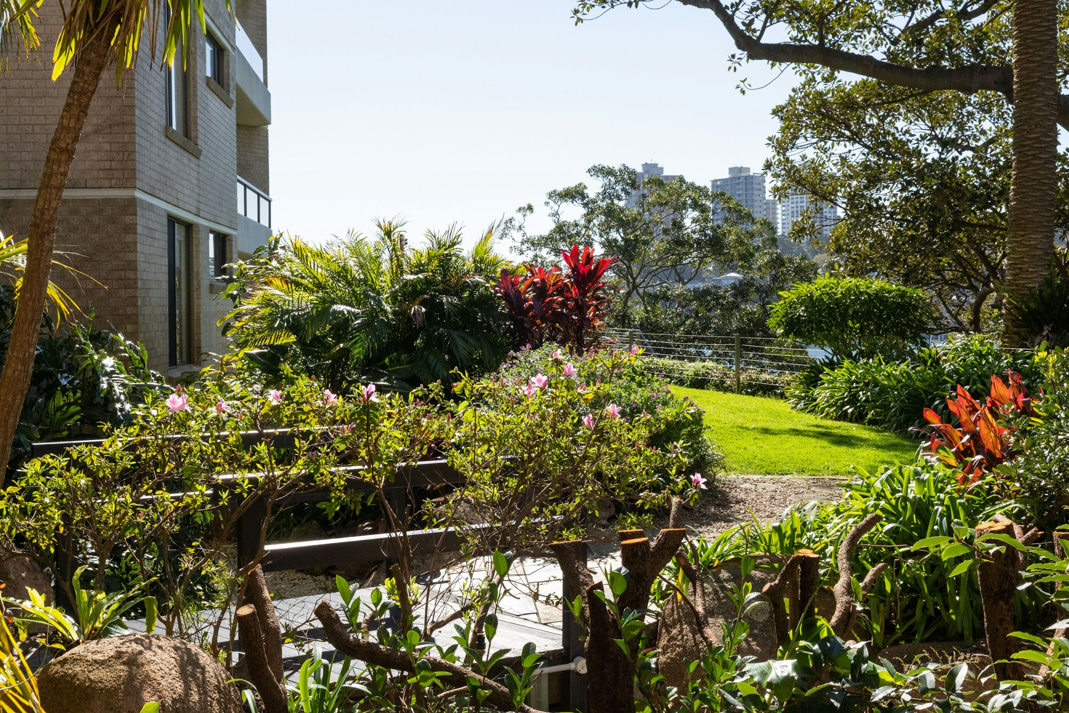 garden