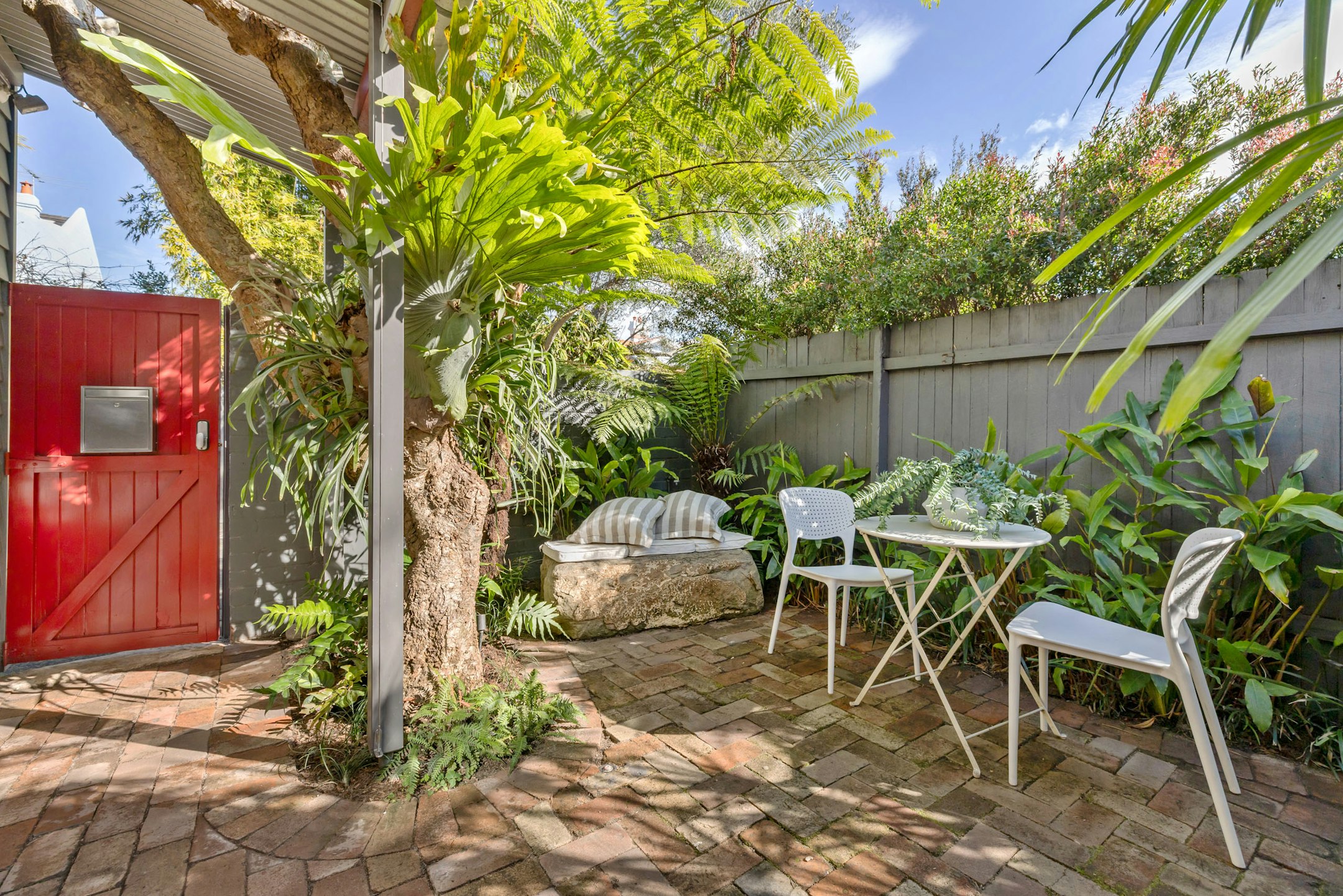 backyard