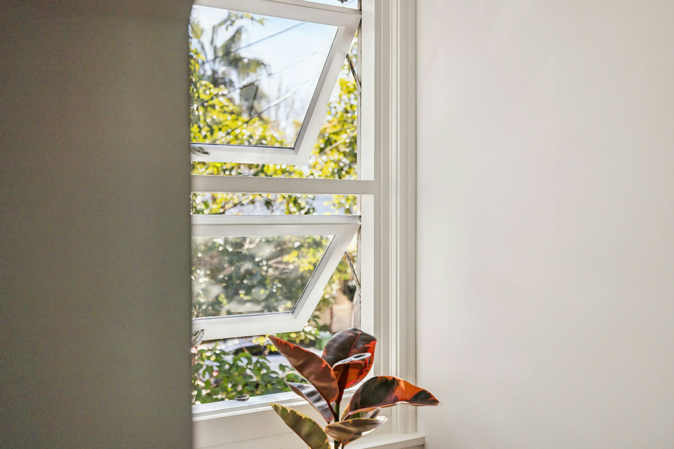 window