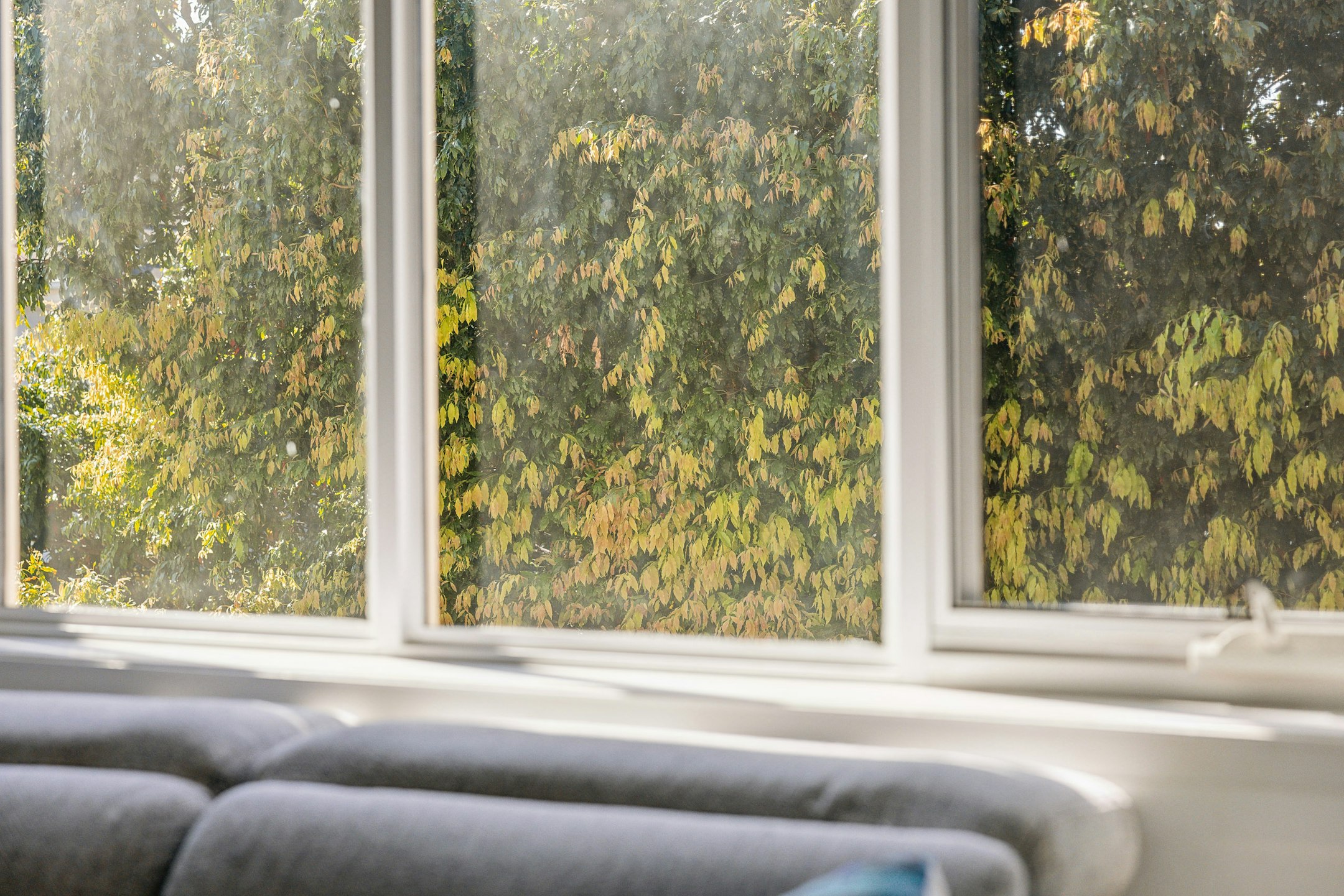 window