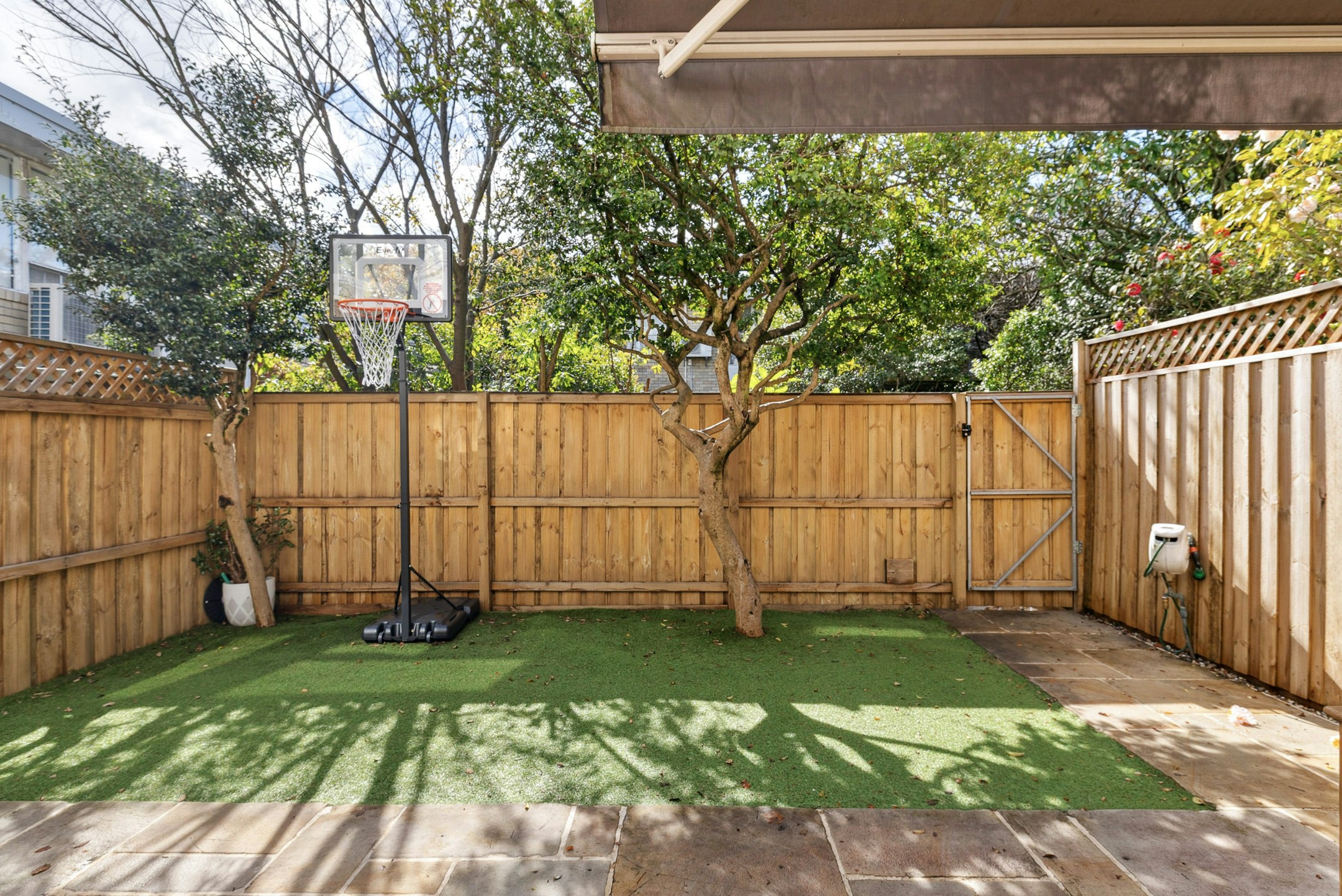 backyard