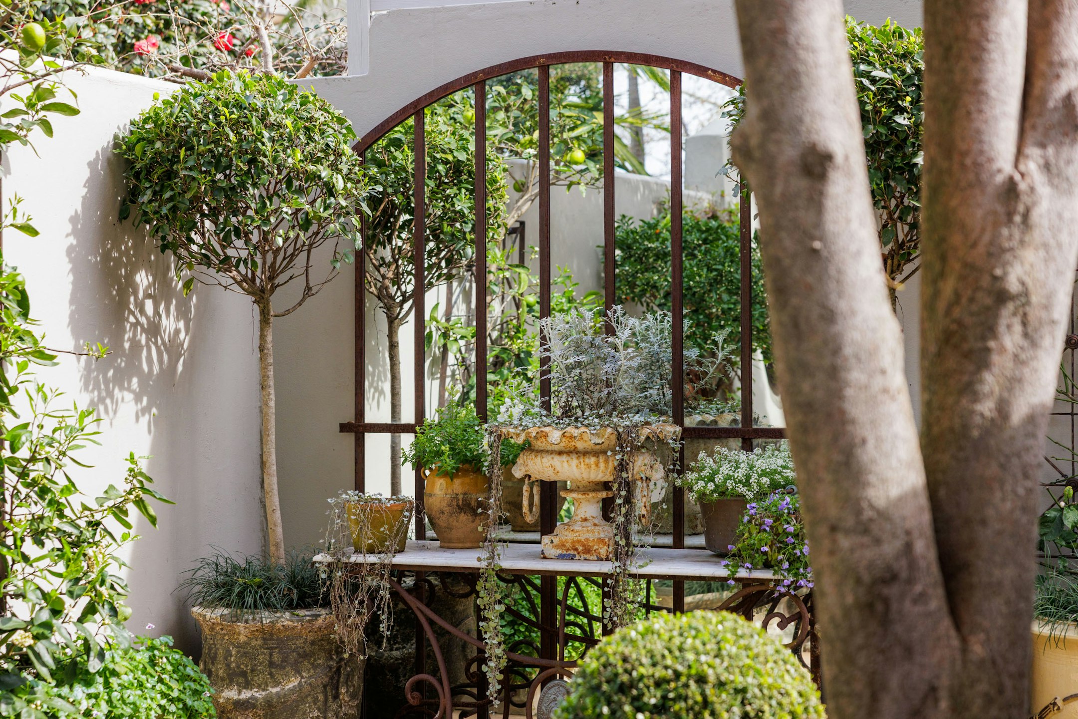 garden
