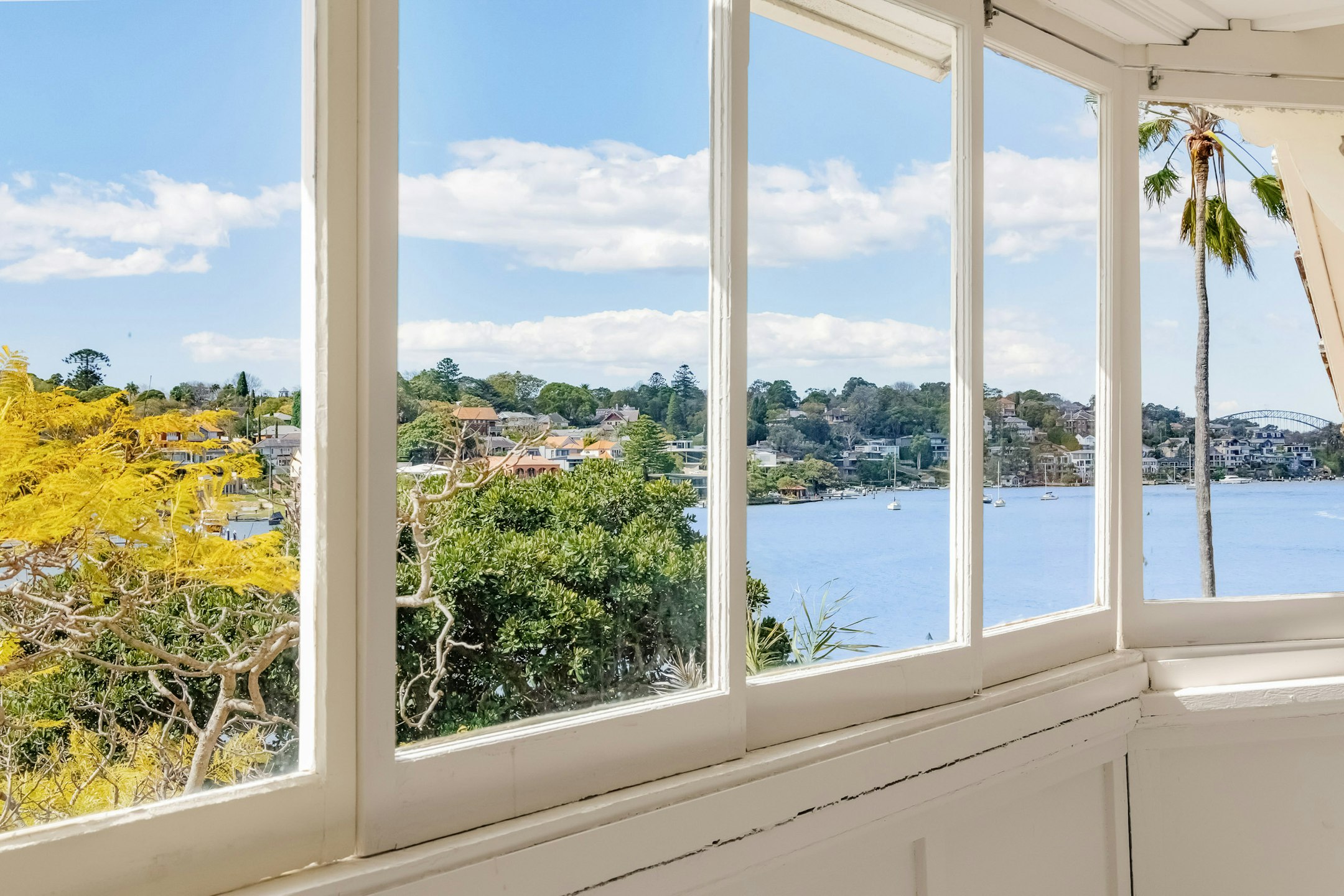 window