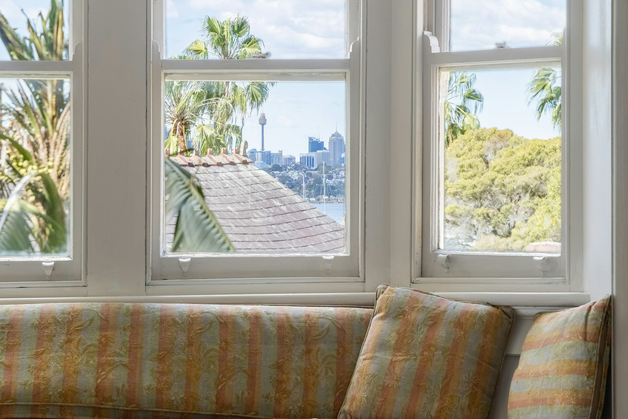 window