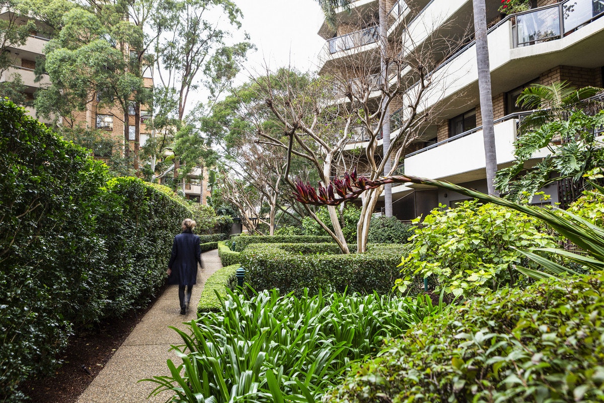 garden