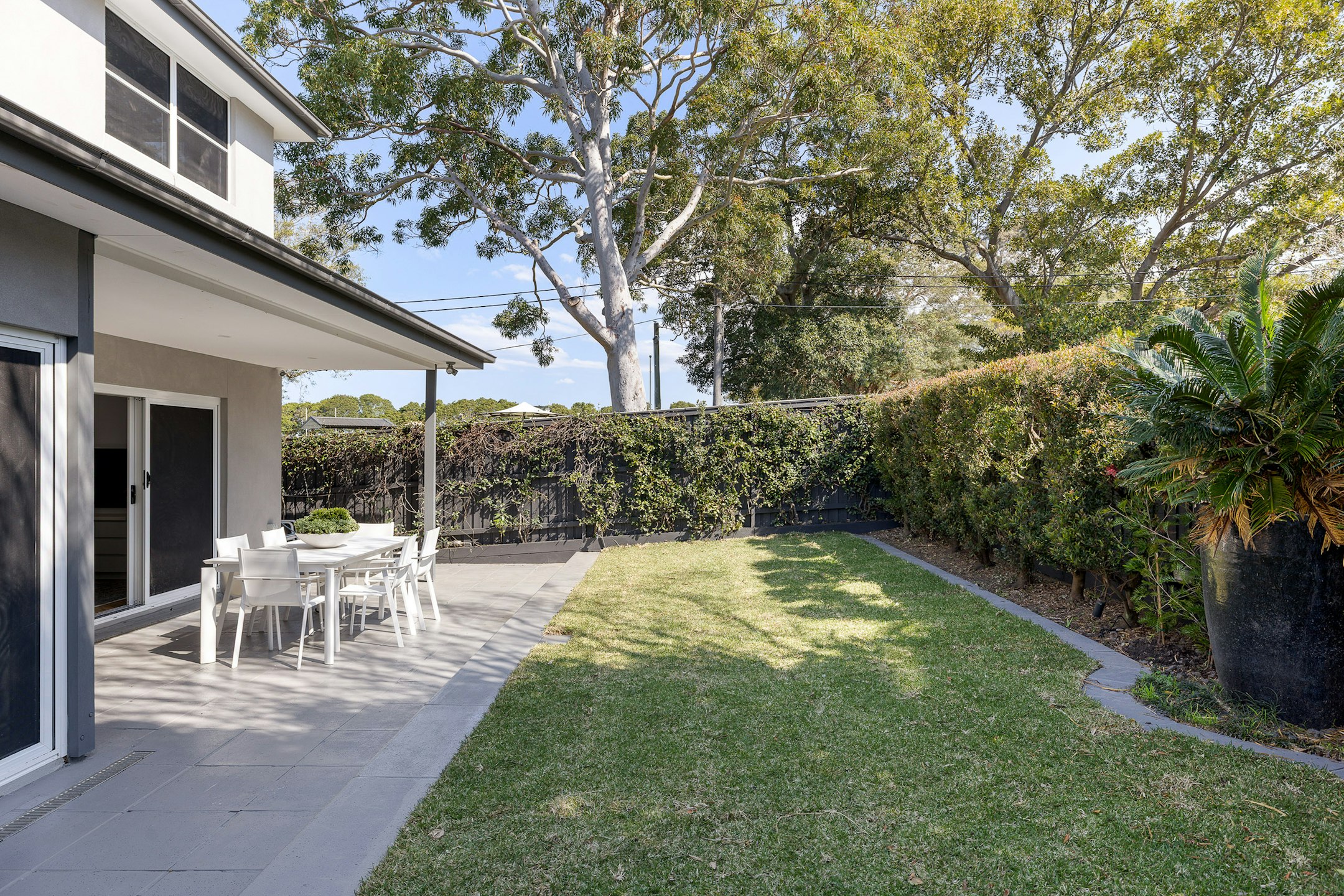 backyard
