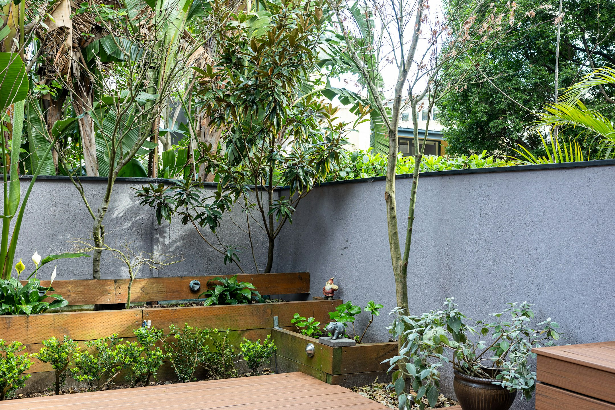 garden