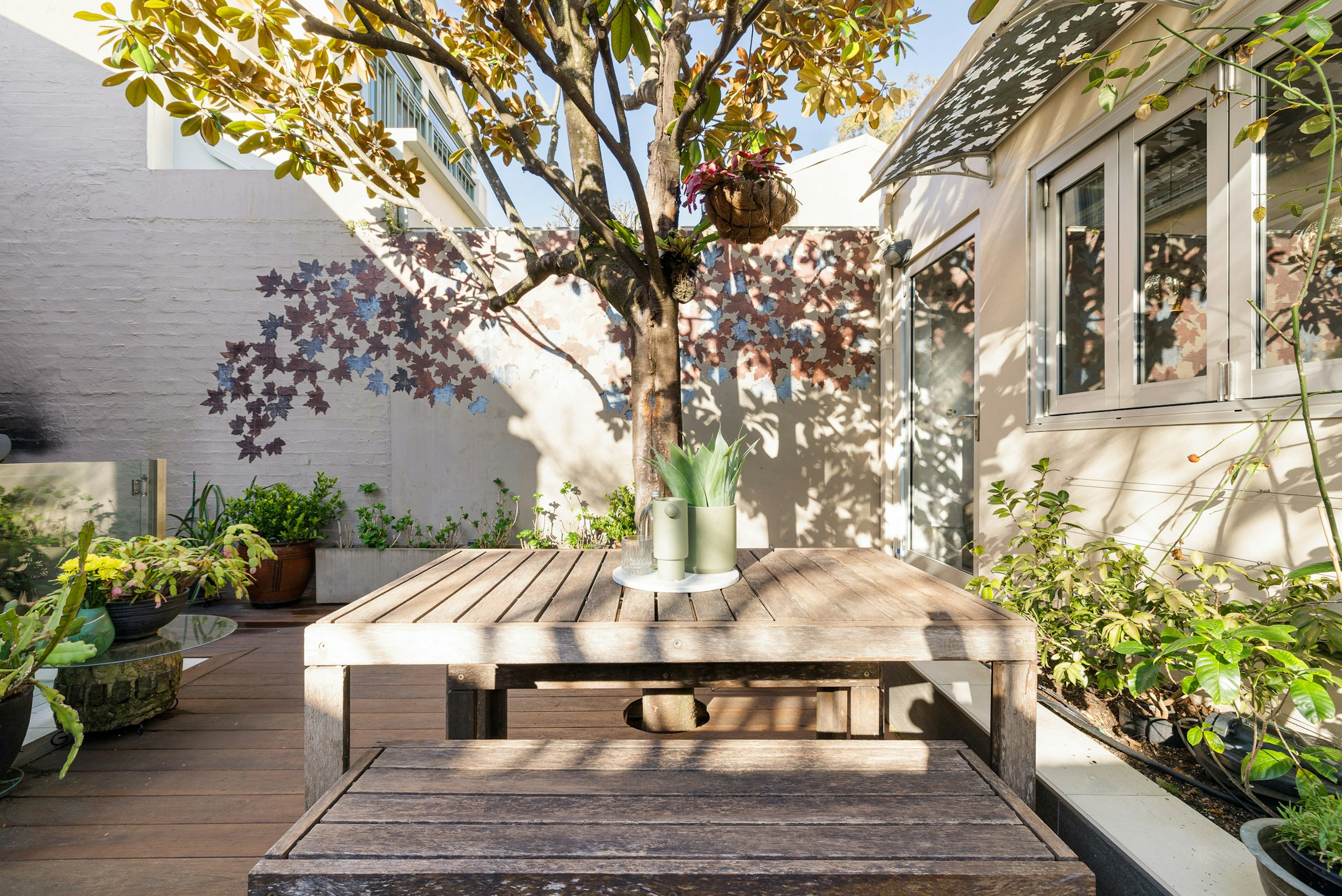 backyard