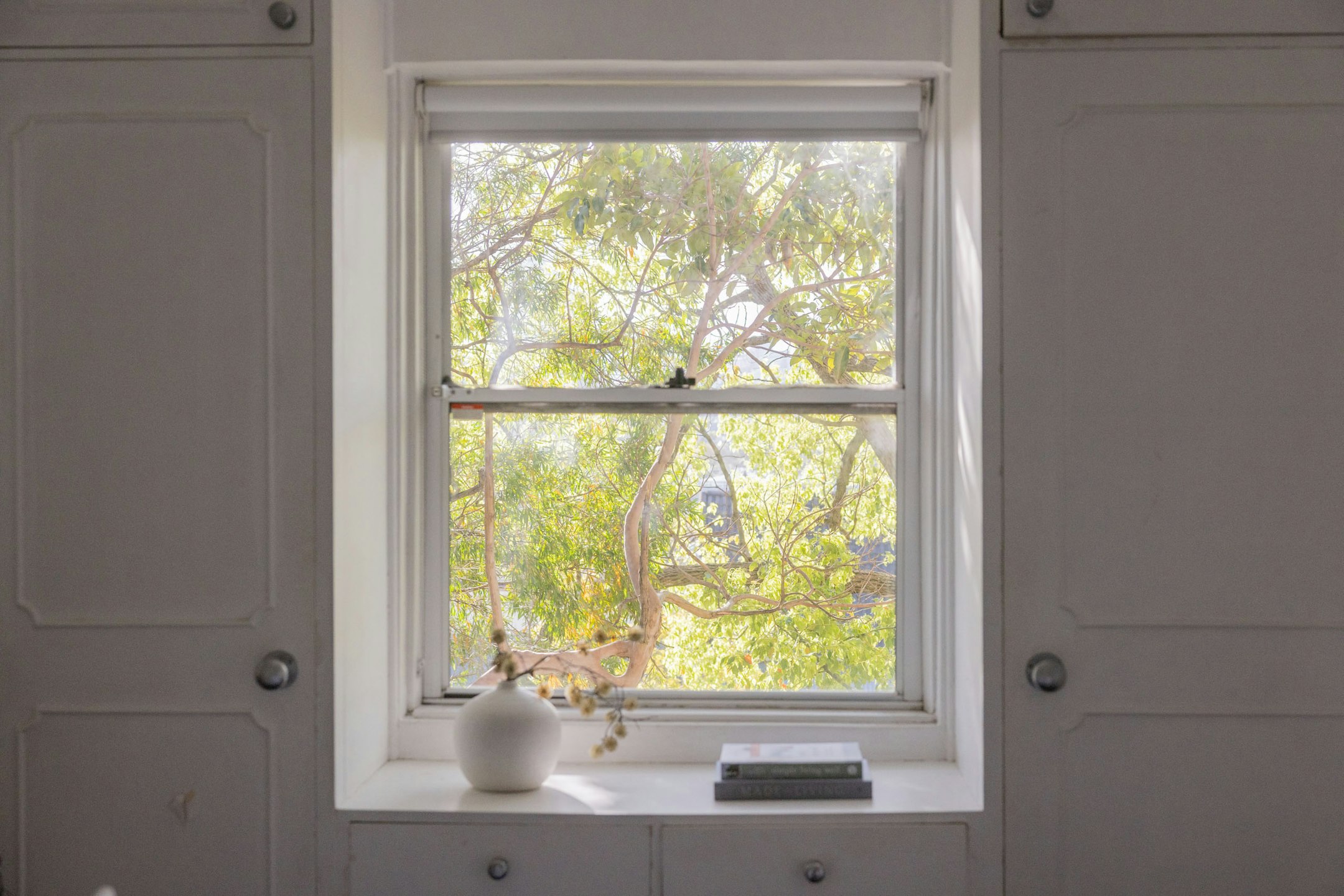 window