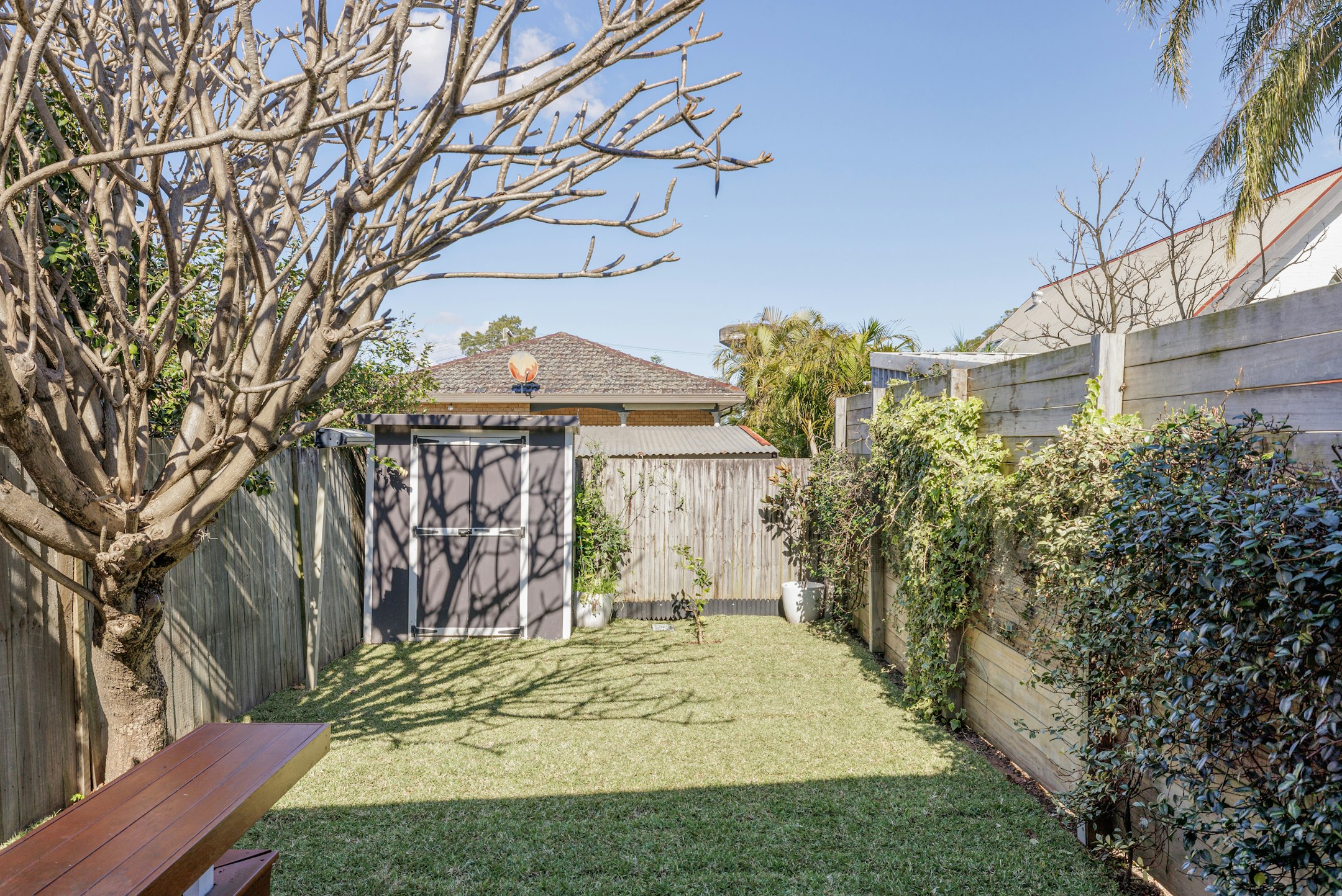 backyard