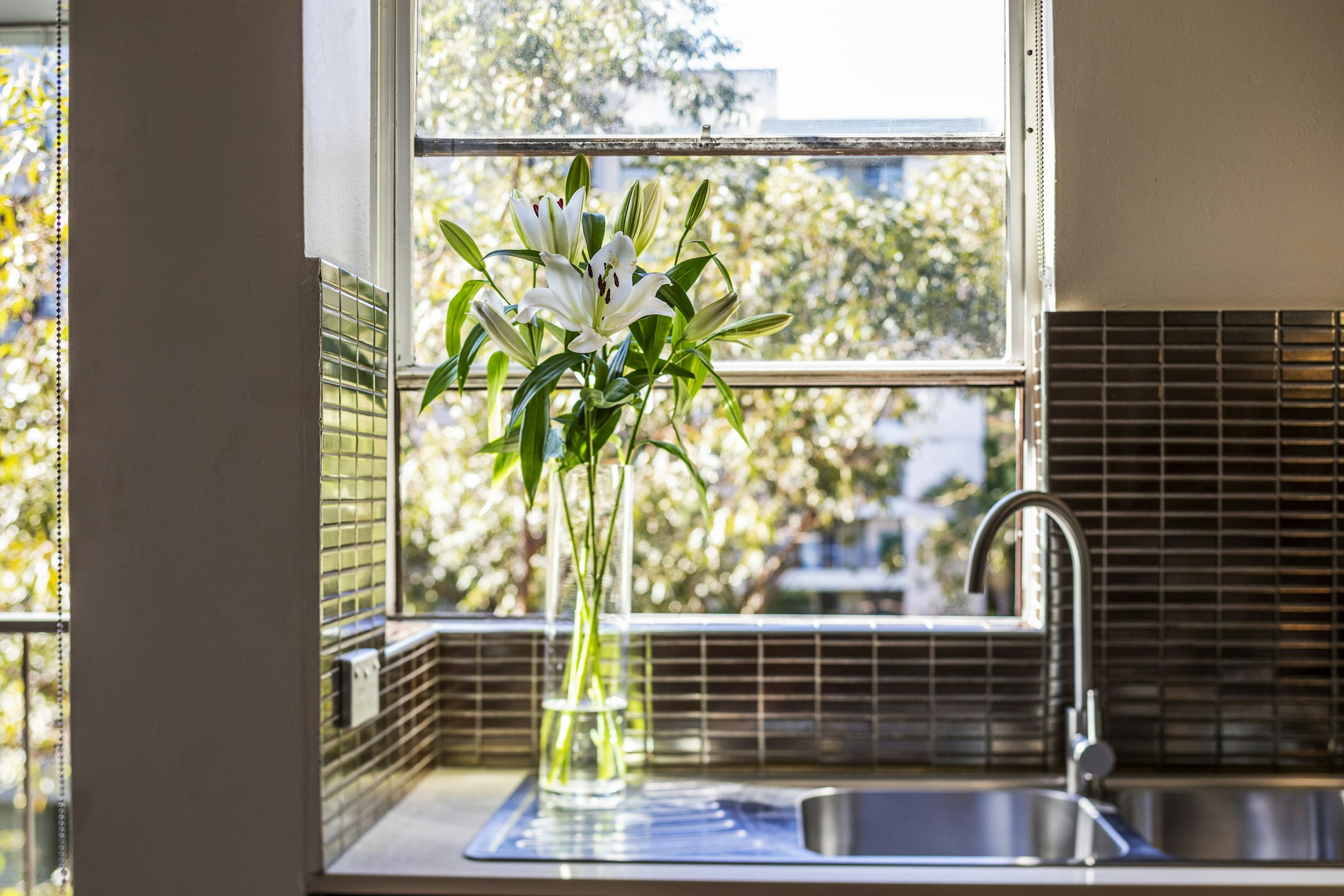 window