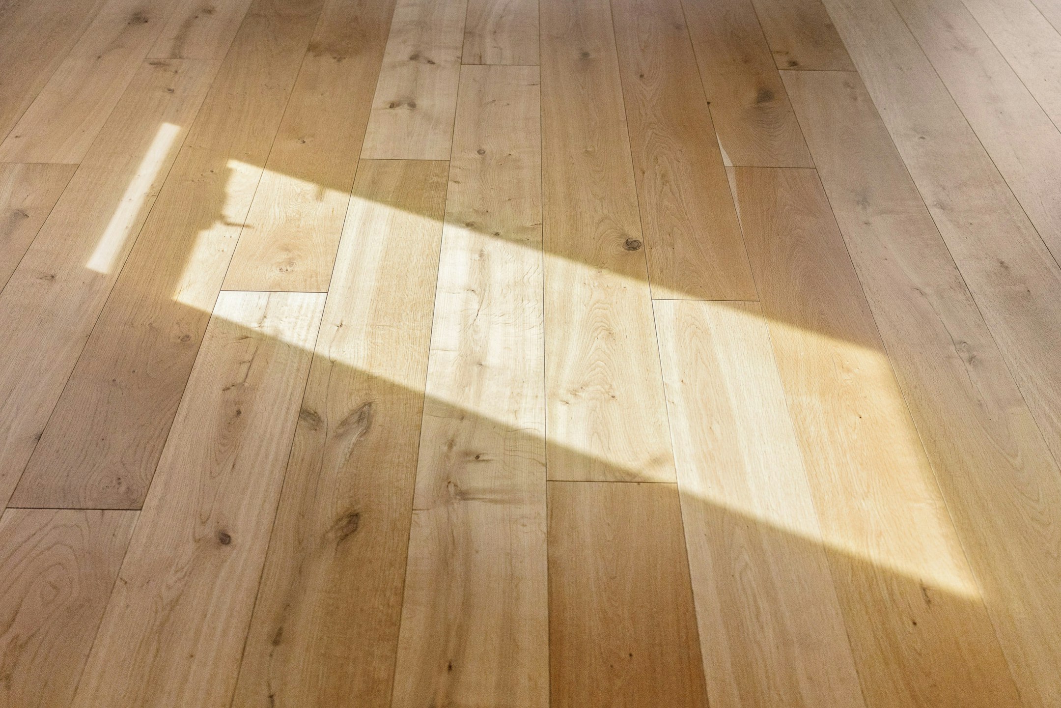 floor