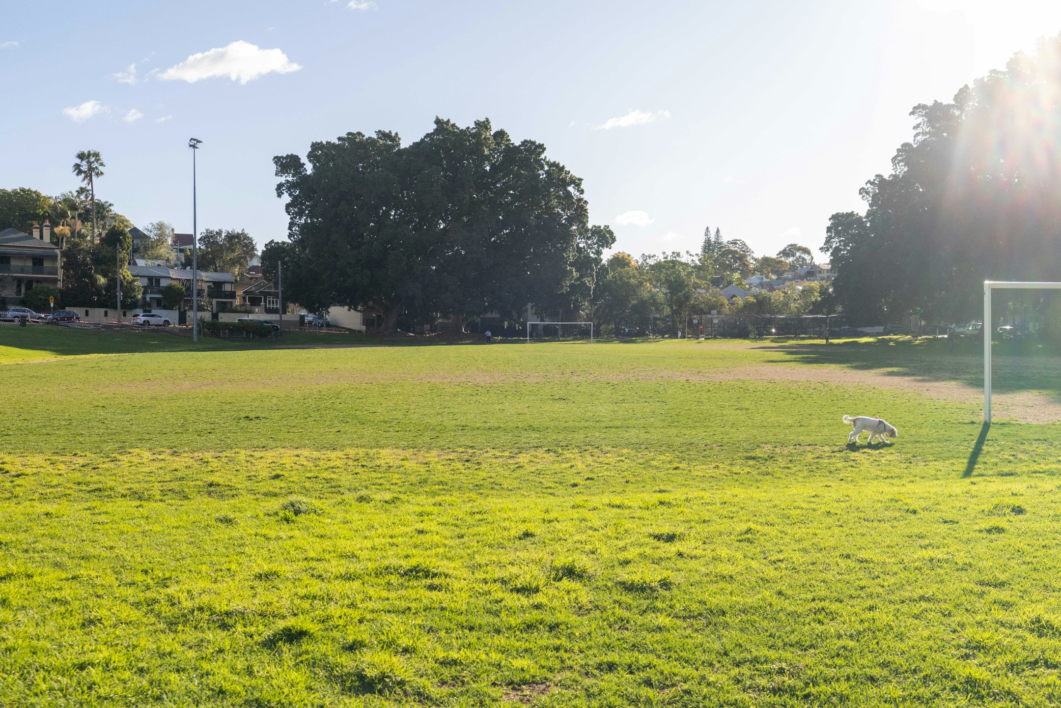 field