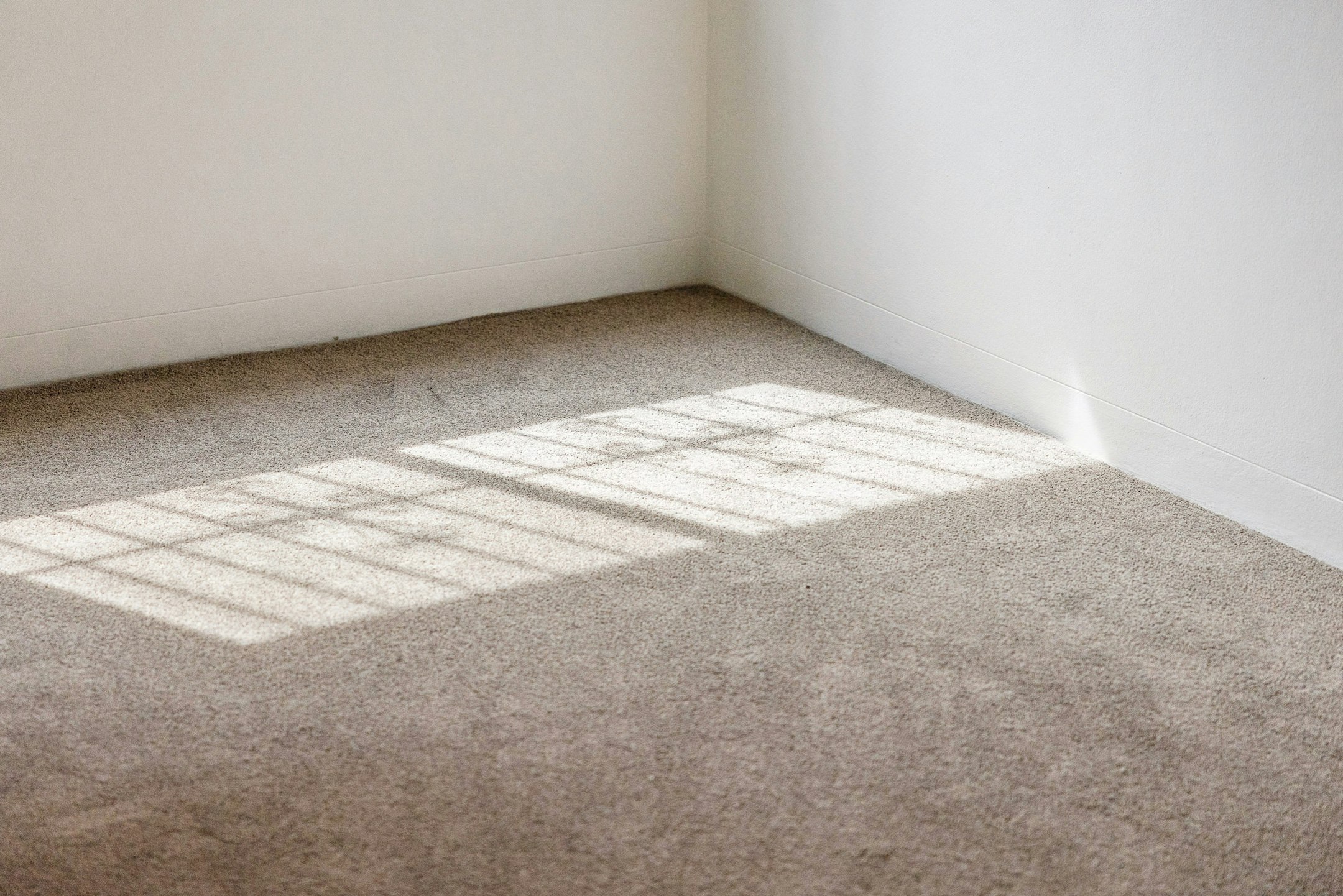 floor