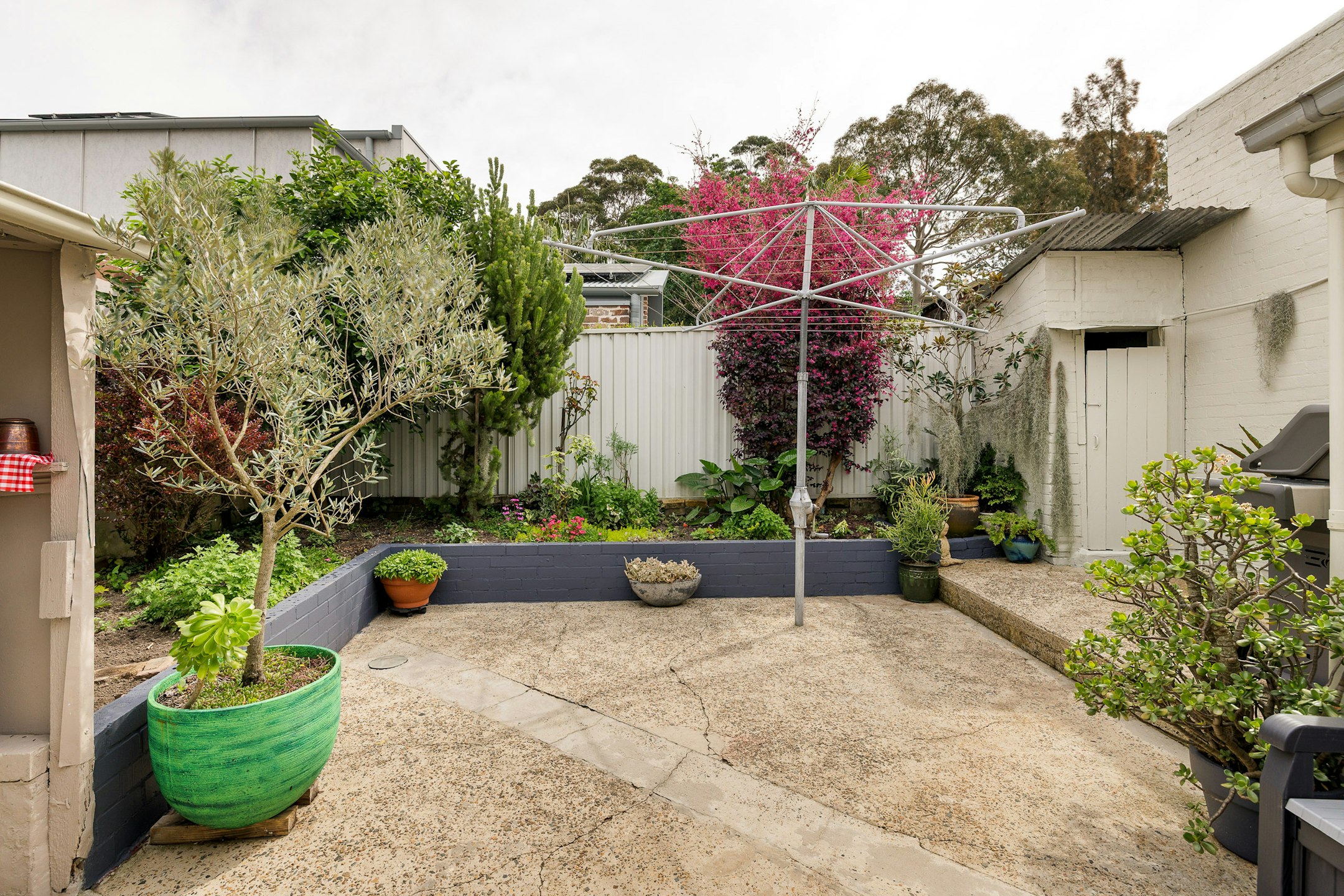 backyard