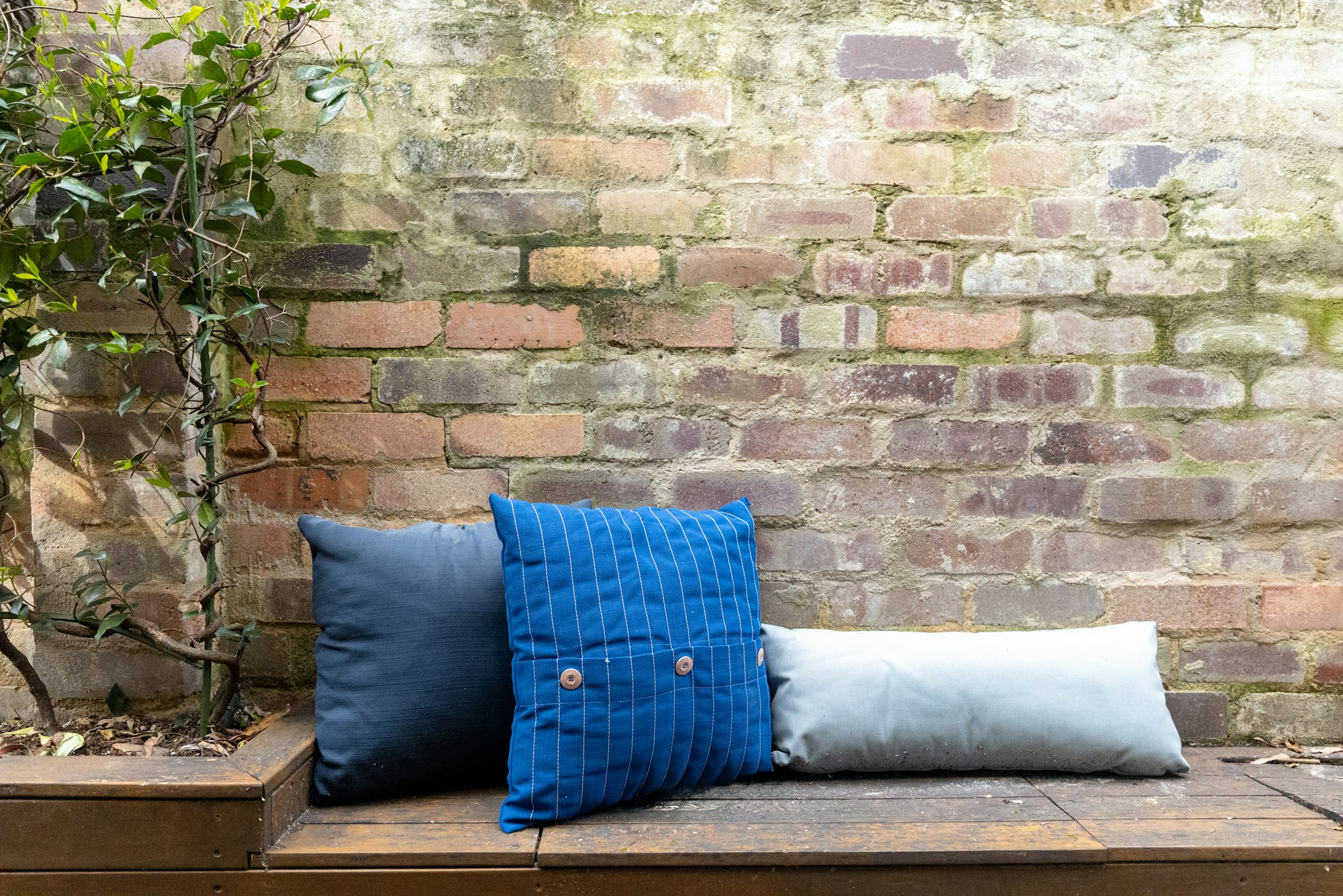 cushion