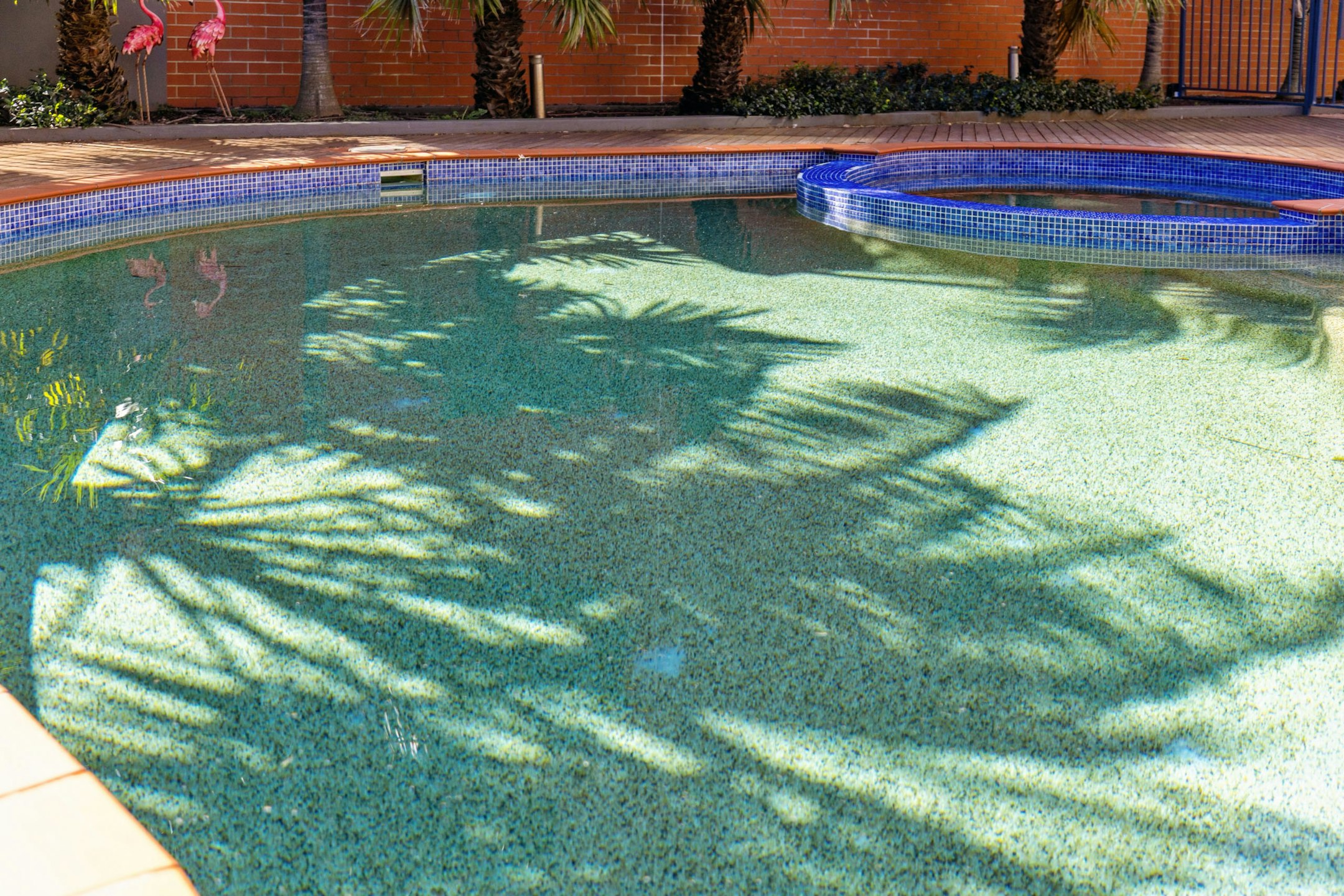 pool