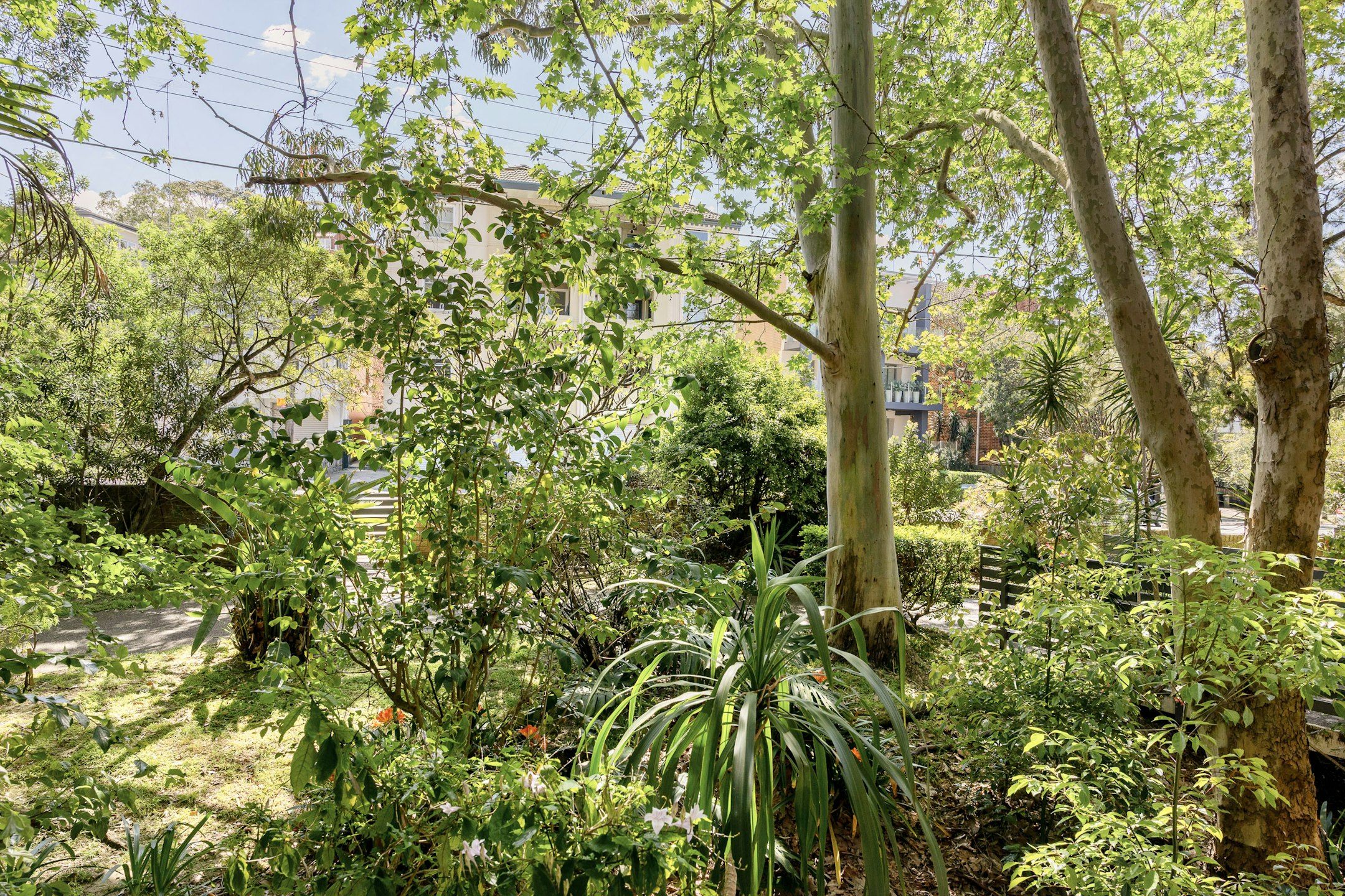 vegetation