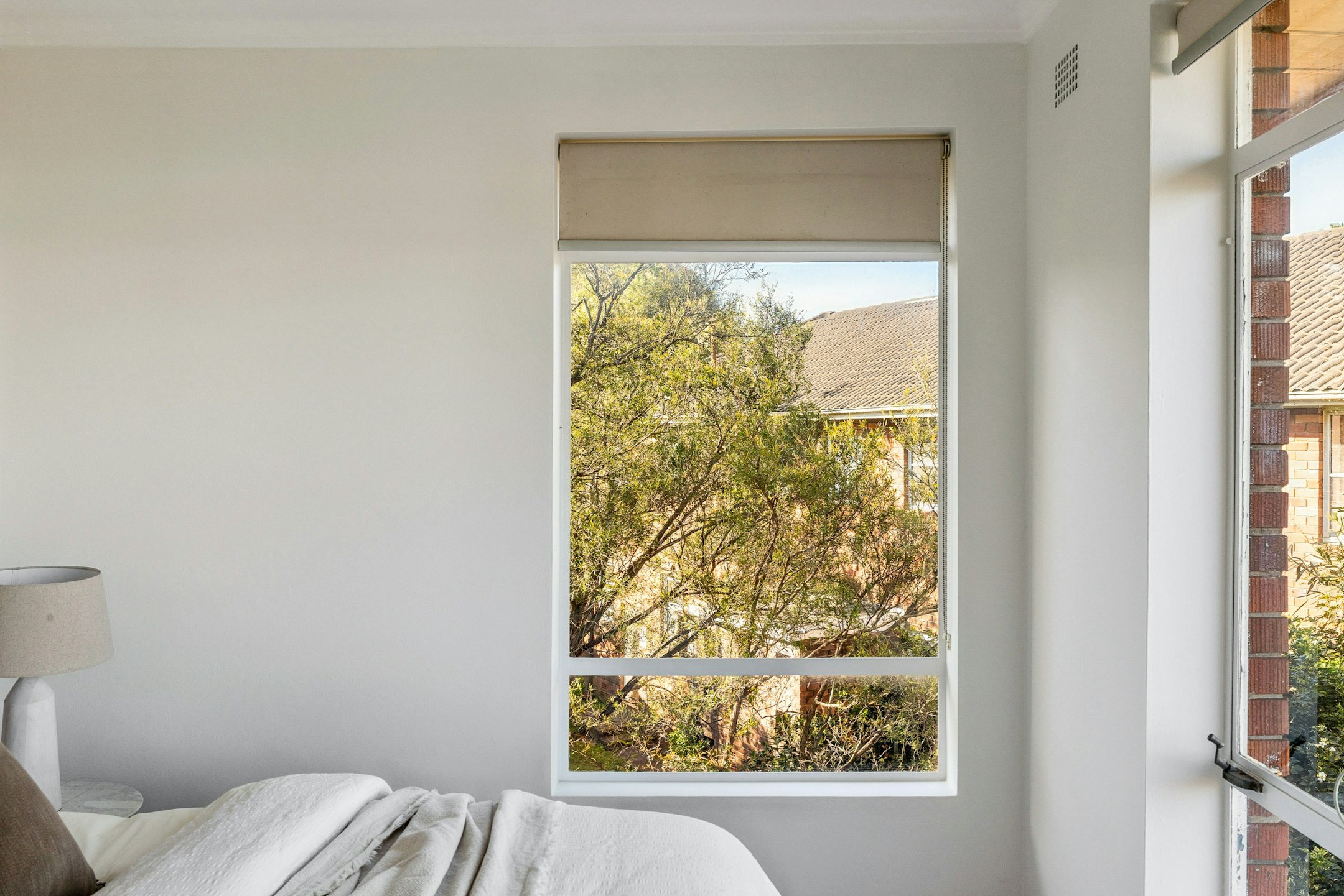 window