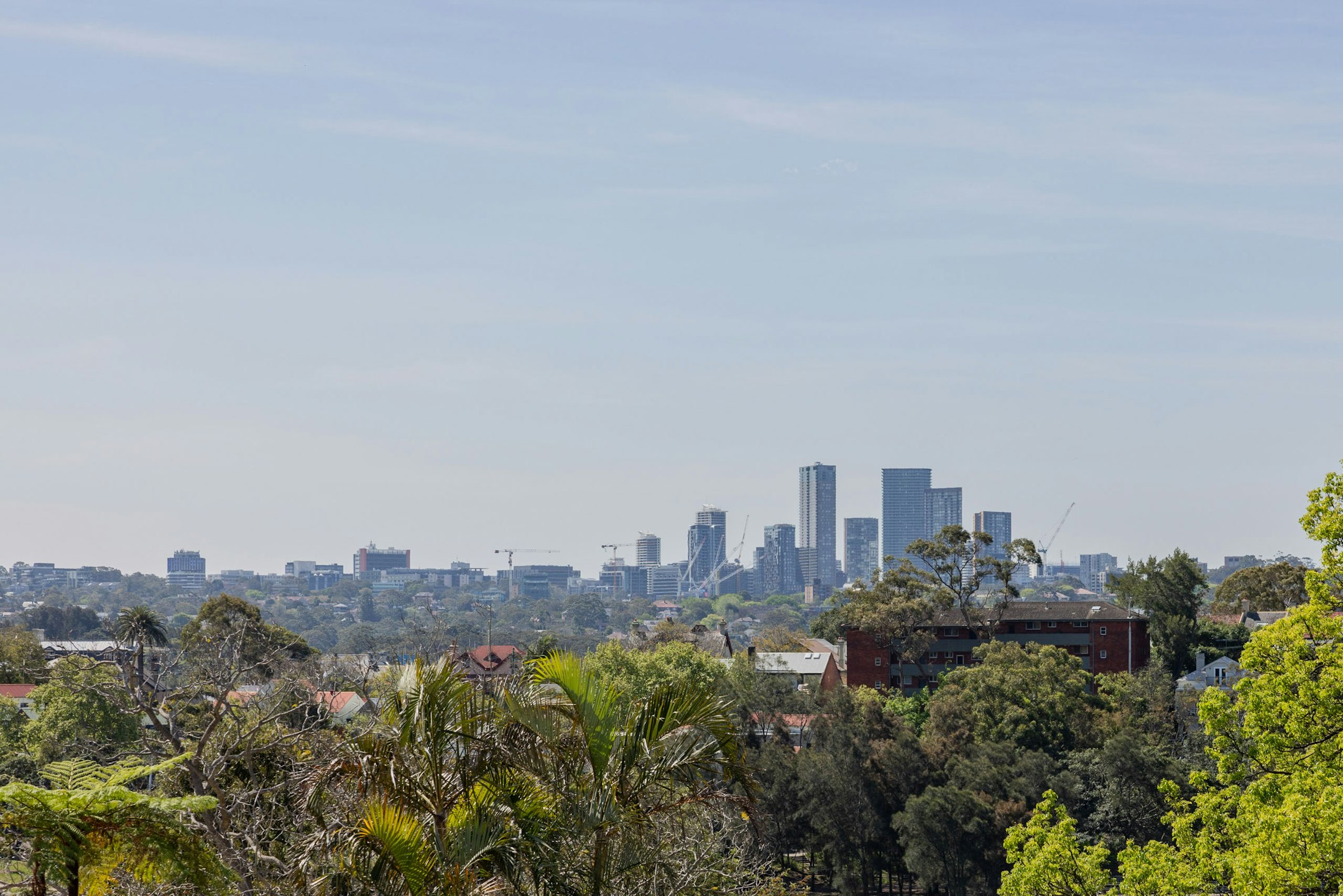 cityscape