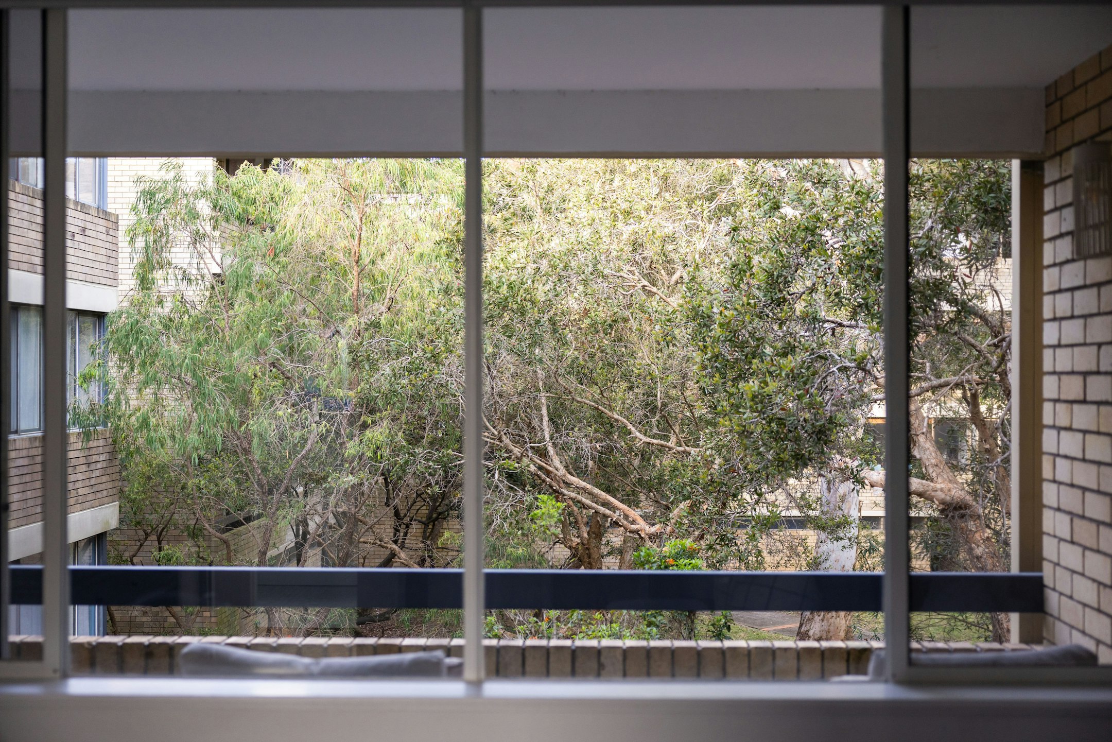 window
