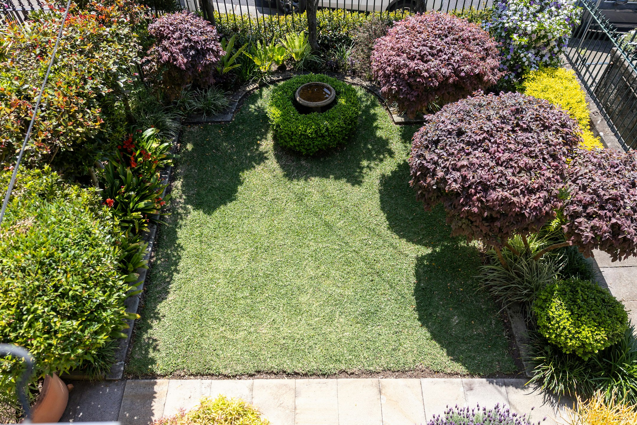 garden