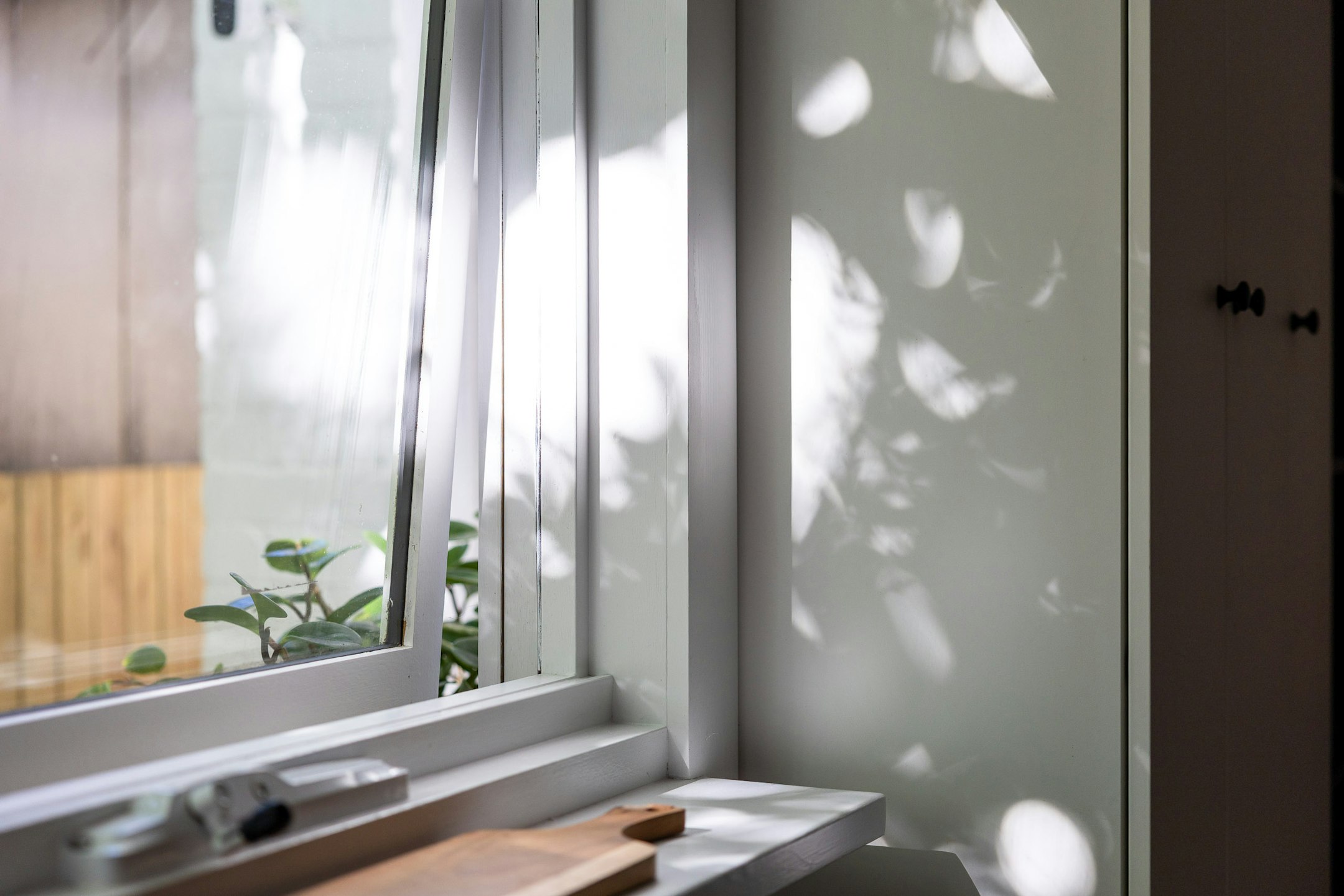 window