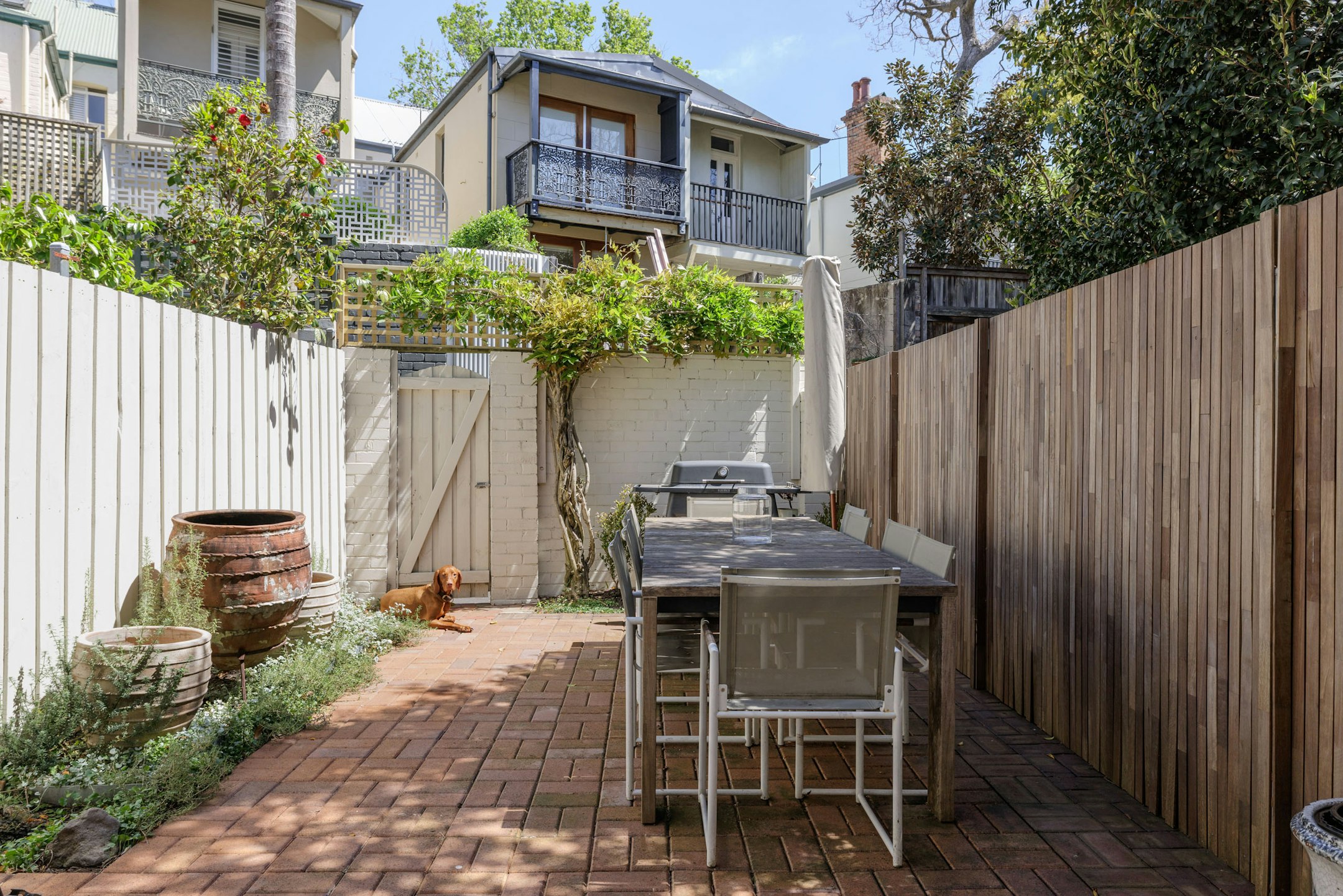 backyard