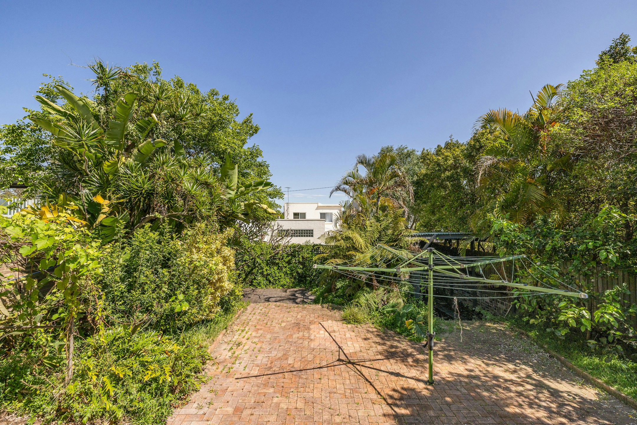 vegetation