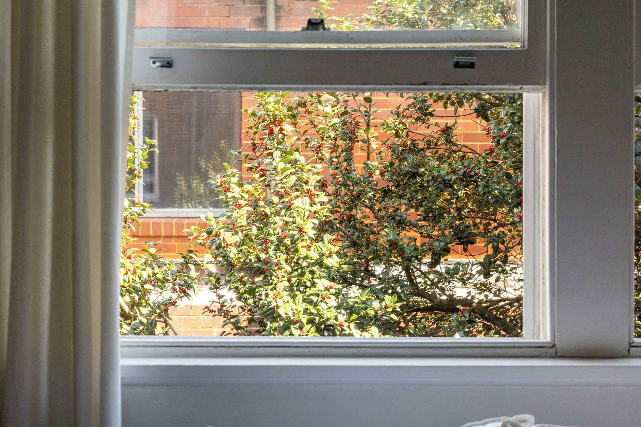 window