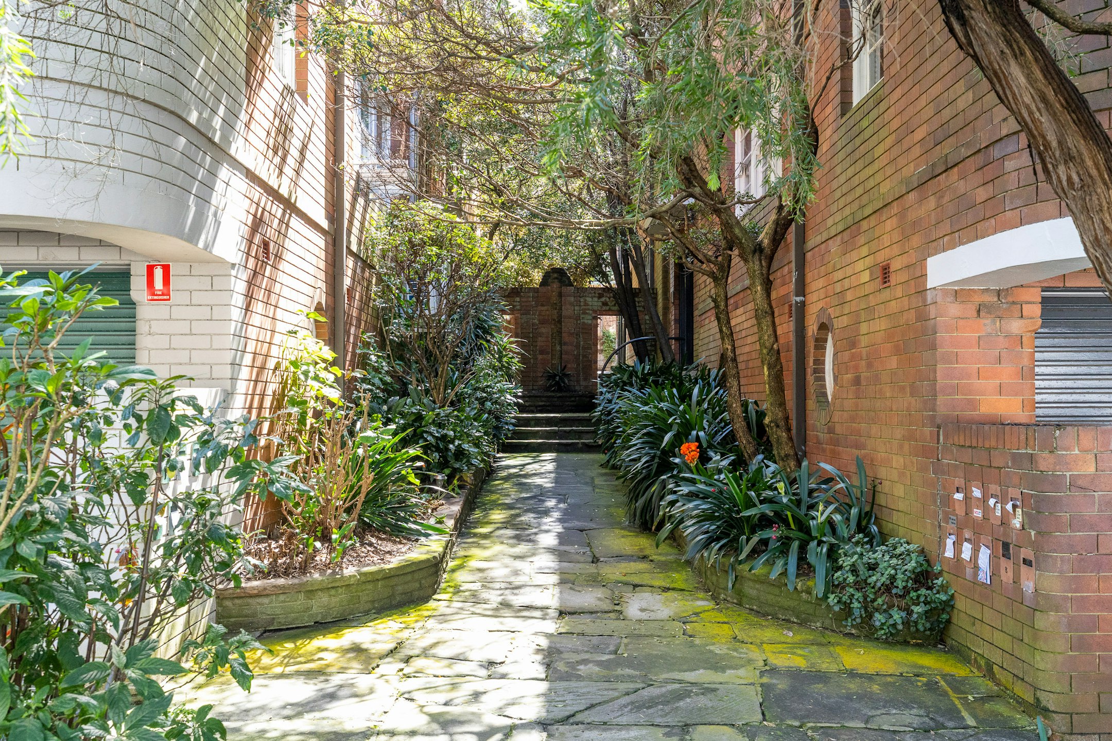 alley