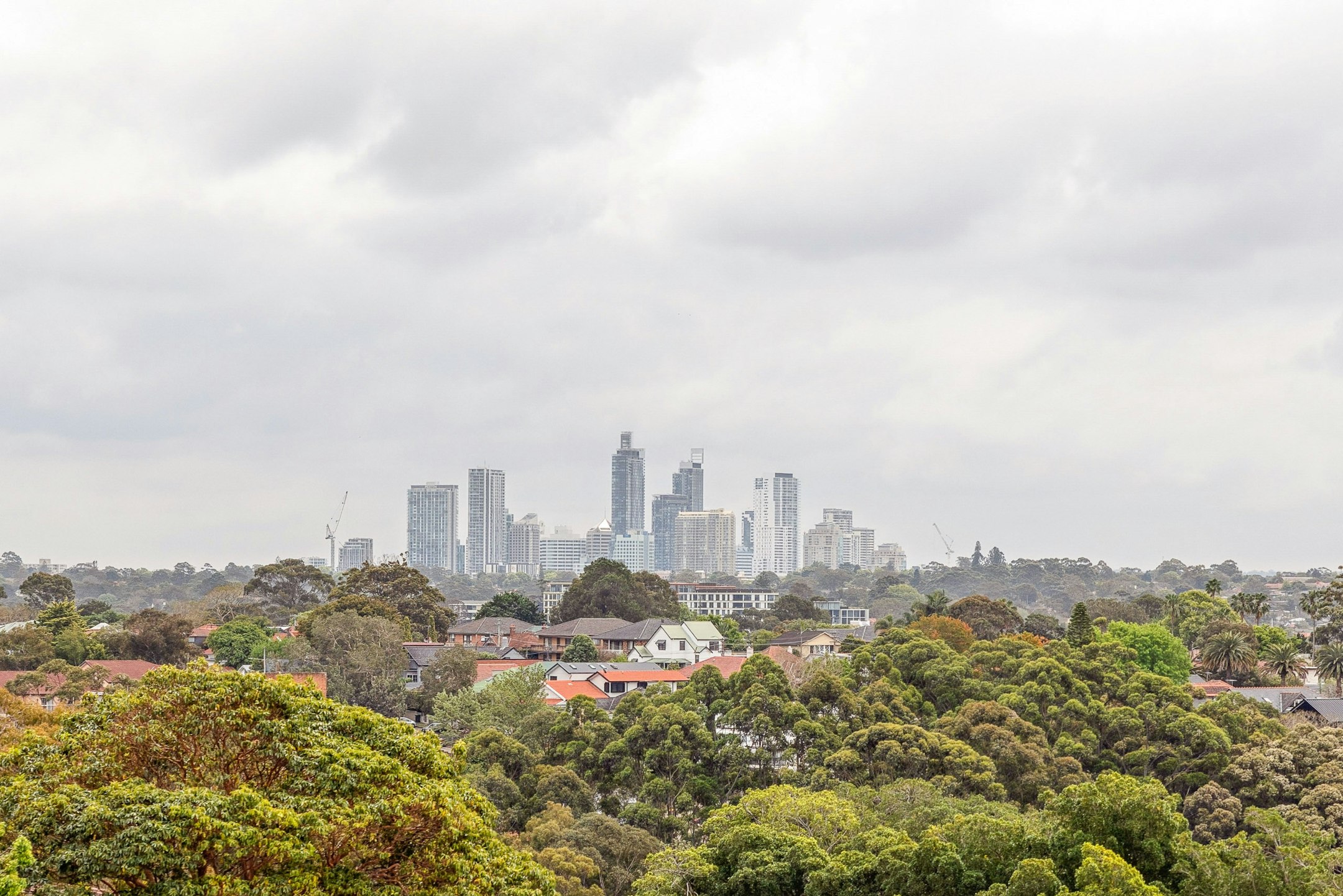 cityscape